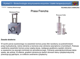 Wykład 9 – Biotechnologie otrzymywania enzymów i białek terapeutycznych
Przedmiot: Podstawy Biotechnologii                                   Politechnika Gdańska, Inżynieria Biomedyczna
                                                                          TECHNOLOGIA CHEMICZNA

                                     Prasa Frencha




Zasada działania:

W wyniki parcia wywieranego na zawartość komory przez tłok naciskany za pośrednictwem
prasy hydraulicznej, rośnie ciśnienie w komorze oraz ciśnienie wewnętrzne w komórkach. Podczas
uwalniania zawartości komory przez wąską dyszę, następuje gwałtowny spadek ciśnienia
w zawiesinie (na zewnątrz komórek) do atmosferycznego. Ciśnienie wewnątrzkomórkowe także
spada, ale wolniej. W efekcie, gradient ciśnienia po dwóch stronach błony cytoplazmatycznej
powoduje jej pęknięcie, a w efekcie uwolnienie cytoplazmy.
 