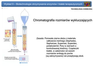 Wykład 9 – Biotechnologie otrzymywania enzymów i białek terapeutycznych
Przedmiot: Podstawy Biotechnologii                                    Politechnika Gdańska, Inżynieria Biomedyczna
                                                                           TECHNOLOGIA CHEMICZNA




                                     Chromatografia rozmiarów wykluczających




                                       Zasada: Porowate ziarna złoża z materiału
                                                 całkowicie inertnego (Sephadex,
                                                 Sepharose, Superose, Superdex,
                                                 poliakrylamid. Pory w ziarnach o
                                                 kontrolowanej średnicy. Cząsteczki
                                                 białek, w zależności od swoich
                                                 rozmiarów wnikają do porów
                                                (są zatrzymywane) lub przepływają obok.
 
