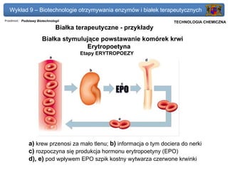 Wykład 9 – Biotechnologie otrzymywania enzymów i białek terapeutycznych
Przedmiot: Podstawy Biotechnologii                                   Politechnika Gdańska, Inżynieria Biomedyczna
                                                                          TECHNOLOGIA CHEMICZNA
                               Białka terapeutyczne - przykłady
                       Białka stymulujące powstawanie komórek krwi
                                     Erytropoetyna
                                       Etapy ERYTROPOEZY




               a) krew przenosi za mało tlenu; b) informacja o tym dociera do nerki
               c) rozpoczyna się produkcja hormonu erytropoetyny (EPO)
               d), e) pod wpływem EPO szpik kostny wytwarza czerwone krwinki
 