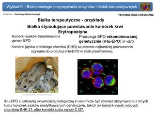 Wykład 9 – Biotechnologie otrzymywania enzymów i białek terapeutycznych
Przedmiot: Podstawy Biotechnologii                                   Politechnika Gdańska, Inżynieria Biomedyczna
                                                                          TECHNOLOGIA CHEMICZNA

                               Białka terapeutyczne - przykłady
                      Białka stymulujące powstawanie komórek krwi
                                    Erytropoetyna
       Komórki ssaków transfekowane               Produkcja EPO rekombinowanej
       genem EPO                                  genetycznie (rHu-EPO) in vitro
       Komórki jajnika chińskiego chomika (CHO) są obecnie najbardziej powszechnie
                    używane do produkcji rHu-EPO w skali przemysłowej.




rHu-EPO z całkowitą aktywnością biologiczną in vivo może być również otrzymywana z innych
kultur komórek ssaków modyfikowanych genetycznie, takich jak komórki nerek młodych
chomików BHK-21, albo komórki sutka myszy C127.
 