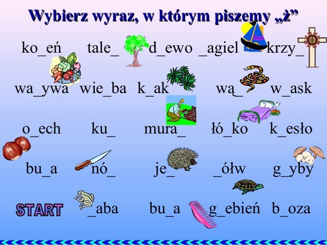 Ż wymienne
