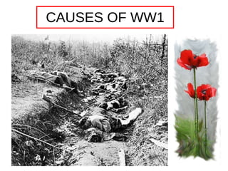 CAUSES OF WW1 