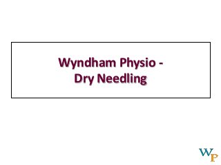 Wyndham Physio -
Dry Needling
 