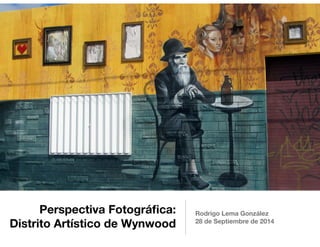 Perspectiva Fotográfica: 
Distrito Artístico de Wynwood 
Rodrigo Lema González 
28 de Septiembre de 2014 
 