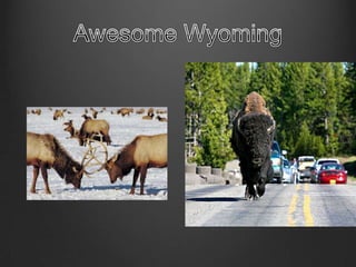 Awesome Wyoming 