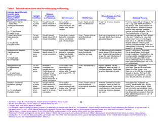 Table 1. Selected native plants ideal for wildscaping in Wyoming.
Common Name (Alternate)
Scientific Name                                             Moisture
Maximum Height                          Sunlight          Preferences                                                                             Stress, Disease, and Pest
Maximum Width                          Conditions        and Tolerances             Soil Information                 Wildlife Value                      Information                               Additional Remarks
Growth Form and Density
Prairie Golden Banner                  Full sun       Drought tolerant.         Grows best in                 Cover. Seeds provide            Mostly free of serious diseases           Perennial legume (“fixes” nitrogen in the
  (Yellow Pea)                         to partial     Needs at least 8” of      moderately fine to            food. Not attractive to         and pests.                                soil). Long-lived. Yellow flowers from
Thermopsis rhombifolia                 shade.         annual precipitation.     medium textured, well-        deer.                                                                     May through June. Does well from low
6 – 16”                                                                         drained soils. Stores                                                                                   to high elevations. Spreads by stolons.
                                                                                nitrogen.                                                                                               Ideal for mass plantings, wildflower
½ – ¾” long flowers                                                                                                                                                                     mixtures, and disturbed sites. One of 3
Elongated cluster                                                                                                                                                                       Thermopsis species in Wyoming.
Purple Prairie Clover                  Full sun       Drought tolerant.         Grows best in medium          Cover. Flowers produce          Avoid using insecticides on or near       Hardy perennial legume (“fixes” nitrogen
Dalea purpurea                         to partial     Needs at least 14” of     textured to moderately        nectar that attracts            this plant. Mostly free of serious        in the soil). Fast growing. Long-lived.
8 – 30”                                shade.         annual precipitation.     coarse, well-drained          butterflies.                    diseases and pests.                       Purple flowers from June into August.
                                                                                soils. Stores nitrogen.                                                                                 Does well up to 7,500 feet in elevation.
¼” long flowers                                                                                                                                                                         Ideal for wildflower mixtures, grass
Elongated cluster                                                                                                                                                                       mixtures, and disturbed sites. One of 6
                                                                                                                                                                                        Dalea species in Wyoming. Native to the
                                                                                                                                                                                        eastern 1/3 of Wyoming.
Rocky Mountain Beeplant                Full sun.      Drought tolerant.         Grows best in medium          Cover. Flowers produce          Low fire tolerance and resistance.        Annual. Fast growing. Short-lived.
Cleome serrulata                       Tolerates      Needs at least 13” of     textured to moderately        nectar that attracts            Needs at least 70 frost-free days/        Pink to purple flowers from August
6 – 48”                                some           annual precipitation.     coarse, well-drained          butterflies and bees.           year. Avoid using insecticides on         through September. Does well from low
                                       shade.                                   soils. Tolerates a pH                                         or near this plant. Mostly free of        to mid elevations. Ideal for stabilizing
½” long flowers                                                                 range of 6.0 – 7.6.                                           serious diseases and pests.               soil and providing quick initial cover.
Rounded cluster                                                                                                                                                                         One of 3 beeplant species in Wyoming.
                                                                                                                                                                                        Plant at 65,900 seeds/pound and 10-16
                                                                                                                                                                                        PLS pounds/acre.
Rocky Mountain Iris                    Full sun.      Moderate to               Grows best in moist,          Cover. Not attractive to        High fire tolerance, low fire             Hardy perennial. Fast growing.
Iris missouriensis                     Tolerates      moderately poor           moderately fine to            deer.                           resistance. Needs at least 115            Short-lived. Pale blue to bluish-violet
8 – 20”                                some           drought tolerance.        medium textured,                                              frost-free days/year. Mostly free         flowers from May through June.
10”                                    shade.         Prefers areas with        alkaline soils. Tolerates                                     of serious diseases and pests.            Does well up to 8,000 feet in elevation.
3 – 4” wide flowers                                   moderate to high          a pH range of 7.0 – 8.5.                                                                                Spreads by stolons. Plant at 21,000
Radially symmetrical                                  moisture. Tolerates                                                                                                               seeds/pound and 20-30 PLS pounds/
                                                      periodic flooding.                                                                                                                acre. May be poisonous to livestock.
                                                      Needs at least 24” of
                                                      annual precipitation.
Rydberg’s Penstemon                    Full sun       Drought tolerant.         Grows best in                 Cover. Flowers produce          Moderate fire tolerance, low fire         Hardy perennial. Moderately fast
Penstemon rydbergii                    to partial     Prefers areas with        moderately fine to            nectar that attracts            resistance. Needs at least 130            growing. Moderate life span. Purple
16”                                    shade.         low to moderate           medium textured, well-        hummingbirds, butterflies,      frost-free days/year. Avoid using         flowers from June into August. Does
                                       Intolerant     moisture. Needs at        drained soils. Tolerates      and bees.                       insecticides on or near this plant.       well from mid to high elevations. Ideal
½ – ¾” long flowers                    of full        least 15” of annual       a pH range of 6.0 – 8.0.                                      Mostly free of serious diseases           for cuttings and bouquets. One of more
Elongated cluster                      shade.         precipitation.                                                                          and pests.                                than 40 penstemon species in Wyoming.
                                                                                                                                                                                        Plant at 850,000 seeds/pound and 1-2
                                                                                                                                                                                        PLS pounds/acre.


~ Soil texture range: fine, moderately fine, medium textured, moderately coarse, coarse.                          46
~ Soil pH: neutral soil pH = 7, acidic soil pH < 7, alkaline (saline) soil pH > 7.
~ Foliage = twigs, buds, and/or leaves or needles.
~ Fire tolerance = a plant’s ability to re-sprout, re-grow, or re-establish from residual seed after a fire. Fire resistance = a plant’s ability to resist burning through adaptations like thick bark, a high leaf crown, or
  high water content. (From: USDA Natural Resources Conservation Service Plants Database, see the “References and Resource Guides” and “Need More Information?” sections.)
~ Riparian areas = the plant zones adjacent to and influenced by the available water in rivers, streams, lakes, ponds, and other waterways.
~ Rhizomes = horizontal, underground, root-like stems. Stolons = stems that grow along the soil surface and then root. Tillers = above-ground stems that branch from stems at or below the soil surface.
~ Seeding rate: PLS = pure live seed (seed purity x germination rate / 100 = PLS % for each seed lot), and is a way to standardize seed quality. (From: Granite Seed Company, see the “References and
  Resource Guides” and “Need More Information?” sections.)
 