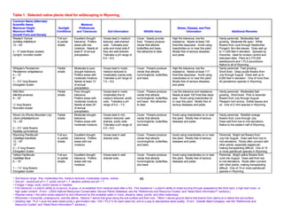 Table 1. Selected native plants ideal for wildscaping in Wyoming.
Common Name (Alternate)
Scientific Name                                             Moisture
Maximum Height                          Sunlight          Preferences                                                                             Stress, Disease, and Pest
Maximum Width                          Conditions        and Tolerances             Soil Information                 Wildlife Value                      Information                               Additional Remarks
Growth Form and Density
Western Yarrow                         Full sun       Excellent drought         Grows best in medium          Cover. Seeds provide            High fire tolerance, low fire             Hardy perennial. Moderately fast
Achillea millefolium                   to partial     tolerance. Prefers        textured, well-drained        food. Flowers produce           resistance. Needs at least 120            growing. Moderate life span. White
12 – 40”                               shade.         areas with low            soils. Tolerates poor         nectar that attracts            frost-free days/year. Avoid using         flowers from June through September.
                                                      moisture. Needs at        soils and moist soils if      butterflies and bees.           insecticides on or near this plant.       Pungent, fern-like leaves. Does well up
2 – 5” wide flower clusters                           least 8” of annual        they are well-drained.        Not attractive to deer.         Mostly free of serious diseases           to 11,000 feet in elevation. Spreads by
Upright, rounded cluster                              precipitation.            Tolerates a pH range of                                       and pests.                                rhizomes. Ideal for erosion control and
                                                                                6.0 – 8.0.                                                                                              disturbed sites. Plant at 2,770,000
                                                                                                                                                                                        seeds/pound and 1 PLS pound/acre.
                                                                                                                                                                                        Native to all of Wyoming.
Whipple’s Penstemon                    Partial        Moderate to poor          Grows best in moist,          Cover. Flowers produce          High fire tolerance, low fire             Hardy perennial. Fast growing.
Penstemon whippleanus                  shade.         drought tolerance.        medium textured to            nectar that attracts            resistance. Needs at least 117            Short-lived. Deep purple flowers from
4 – 12”                                               Prefers areas with        moderately coarse soils.      hummingbirds, butterflies,      frost-free days/year. Avoid using         July through August. Does well up to
8”                                                    moderate moisture.        Tolerates a pH range of       and bees.                       insecticides on or near this plant.       8,500 feet in elevation. One of more than
1 – 2½” long flowers                                  Needs at least 13”        7.0 – 8.0.                                                    Mostly free of serious diseases           40 penstemon species in Wyoming.
Elongated cluster                                     of annual                                                                               and pests.
                                                      precipitation.
Wild Mint                              Partial        Poor drought              Grows best in moist,          Cover. Flowers produce          Low fire tolerance and resistance.        Hardy perennial. Moderately fast
Mentha arvensis                        shade.         tolerance.                moderately fine to            nectar that attracts            Needs at least 100 frost-free days/       growing. Short-lived. Pink or lavender
8 – 32”                                               Prefers areas with        medium textured, acidic       hummingbirds, butterflies,      year. Avoid using insecticides on         flowers from July through August.
                                                      moderate moisture.        soils. Tolerates a pH         and bees. Not attractive        or near this plant. Mostly free of        Pleasant mint aroma. Edible leaves and
¼” long flowers                                       Needs at least 20”        range of 5.0 – 7.0.           to deer.                        serious diseases and pests.               oil. One of 2 mint species in Wyoming.
Rounded cluster                                       of annual
                                                      precipitation.
Wood Lily (Rocky Mountain Lily)        Partial        Moderate drought          Grows best in rich,           Cover. Flowers produce          Avoid using insecticides on or near       Hardy perennial. Reddish-orange
Lilium philadelphicum                  shade.         tolerance.                medium textured, well-        nectar that attracts            this plant. Mostly free of serious        flowers from June through July.
12 – 24”                                              Prefers areas with        drained, acidic soils.        hummingbirds, butterflies,      diseases and pests.                       Does well from low to mid elevations.
                                                      moderate moisture.        Tolerates a pH range of       and bees.                                                                 Native to the eastern half of Wyoming.
2 – 2½” wide flowers                                                            4.0 – 6.0.
Radially symmetrical
Wyoming Paintbrush                     Full sun       Excellent drought         Grows best in well-           Cover. Flowers produce          Avoid using insecticides on or near       Perennial. Bright red flowers from
Castilleja linariifolia                to partial     tolerance. Prefers        drained soils.                nectar that attracts            this plant. Mostly free of serious        July into August. Does well from low to
12 – 24”                               shade.         areas with low                                          hummingbirds, butterflies,      diseases and pests.                       mid elevations. Roots often connect with
12”                                                   moisture.                                               and bees.                                                                 other plants, especially sagebrush,
2 – 3” long flowers                                                                                                                                                                     making transplanting difficult. One of 15
Elongated cluster                                                                                                                                                                       or more paintbrush species in Wyoming.
Yellow Paintbrush                      Full sun       Excellent drought         Grows best in well-           Cover. Flowers produce          Avoid using insecticides on or near       Perennial. Bright yellow flowers from
Castilleja flava                       to partial     tolerance. Prefers        drained soils.                nectar that attracts            this plant. Mostly free of serious        June into August. Does well from low
6 – 15”                                shade.         areas with low                                          hummingbirds, butterflies,      diseases and pests.                       to mid elevations. Roots often connect
                                                      moisture.                                               and bees.                                                                 with other plants, making transplanting
1 – 1¼” long flowers                                                                                                                                                                    difficult. One of 15 or more paintbrush
Elongated cluster                                                                                                                                                                       species in Wyoming.

~ Soil texture range: fine, moderately fine, medium textured, moderately coarse, coarse.                          49
~ Soil pH: neutral soil pH = 7, acidic soil pH < 7, alkaline (saline) soil pH > 7.
~ Foliage = twigs, buds, and/or leaves or needles.
~ Fire tolerance = a plant’s ability to re-sprout, re-grow, or re-establish from residual seed after a fire. Fire resistance = a plant’s ability to resist burning through adaptations like thick bark, a high leaf crown, or
  high water content. (From: USDA Natural Resources Conservation Service Plants Database, see the “References and Resource Guides” and “Need More Information?” sections.)
~ Riparian areas = the plant zones adjacent to and influenced by the available water in rivers, streams, lakes, ponds, and other waterways.
~ Rhizomes = horizontal, underground, root-like stems. Stolons = stems that grow along the soil surface and then root. Tillers = above-ground stems that branch from stems at or below the soil surface.
~ Seeding rate: PLS = pure live seed (seed purity x germination rate / 100 = PLS % for each seed lot), and is a way to standardize seed quality. (From: Granite Seed Company, see the “References and
  Resource Guides” and “Need More Information?” sections.)
 