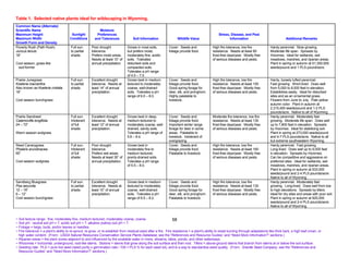 Table 1. Selected native plants ideal for wildscaping in Wyoming.
Common Name (Alternate)
Scientific Name                                             Moisture
Maximum Height                          Sunlight          Preferences                                                                             Stress, Disease, and Pest
Maximum Width                          Conditions        and Tolerances             Soil Information                 Wildlife Value                      Information                               Additional Remarks
Growth Form and Density
Poverty Rush (Path Rush)               Full sun       Poor drought              Grows in most soils,          Cover. Seeds and                High fire tolerance, low fire             Hardy perennial. Slow growing.
Juncus tenuis                          to partial     tolerance.                but prefers moist,            foliage provide food.           resistance. Needs at least 85             Moderate life span. Spreads by
18”                                    shade.         Prefers moist areas.      moderately fine, acidic                                       frost-free days/year. Mostly free         rhizomes. Ideal for wetlands, wet
                                                      Needs at least 10” of     soils. Tolerates                                              of serious diseases and pests.            meadows, marshes, and riparian areas.
Cool season, grass-like                               annual precipitation.     disturbed soils and                                                                                     Plant in spring or autumn at 51,300,000
 sod-former                                                                     compacted soils.                                                                                        seeds/pound and 1 PLS pound/acre.
                                                                                Tolerates a pH range
                                                                                of 4.5 – 7.0.
Prairie Junegrass                      Full sun       Excellent drought         Grows best in medium          Cover. Seeds and                High fire tolerance, low fire             Hardy, loosely tufted perennial.
Koeleria macrantha                     to partial     tolerance. Needs at       textured to moderately        foliage provide food.           resistance. Needs at least 150            Fast growing. Short-lived. Does well
Also known as Koeleria cristata        shade.         least 14” of annual       coarse, well-drained          Good spring forage for          frost-free days/year. Mostly free         from 5,000 to 8,000 feet in elevation.
18”                                                   precipitation.            soils. Tolerates a pH         deer, elk, and pronghorn.       of serious diseases and pests.            Establishes easily. Ideal for disturbed
                                                                                range of 6.0 – 8.0.           Highly palatable to                                                       sites and as an ornamental grass.
Cool season bunchgrass                                                                                        livestock.                                                                Flowers from June to July. Pale yellow
                                                                                                                                                                                        autumn color. Plant in autumn at
                                                                                                                                                                                        2,315,400 seeds/pound and 1-2 PLS
                                                                                                                                                                                        pounds/acre. Native to all of Wyoming.
Prairie Sandreed                       Full sun.      Excellent drought         Grows best in deep,           Cover. Seeds and                Moderate fire tolerance, low fire         Hardy perennial. Moderately fast
Calamovilfa longifolia                 Intolerant     tolerance. Needs at       medium textured to            foliage provide food.           resistance. Needs at least 130            growing. Moderate life span. Does well
24 – 72”                               of full        least 12” of annual       moderately coarse, well-      Important winter range          frost-free days/year. Mostly free         up to 7,800 feet in elevation. Spreads
                                       shade.         precipitation.            drained, sandy soils.         forage for deer in some         of serious diseases and pests.            by rhizomes. Ideal for stabilizing soil.
Warm season sodgrass                                                            Tolerates a pH range of       areas. Palatable to                                                       Plant in spring at 273,000 seeds/pound
                                                                                5.6 – 8.4.                    livestock. Intolerant of                                                  and 4-7 PLS pounds/acre. Native to all
                                                                                                              overgrazing.                                                              but extreme southwestern Wyoming.
Reed Canarygrass                       Full sun.      Poor drought              Grows best in                 Cover. Seeds and                High fire tolerance, low fire             Hardy perennial. Fast growing.
Phalaris arundinacea                   Intolerant     tolerance.                moderately fine to            foliage provide food.           resistance. Needs at least 160            Long-lived. Does well up to 9,000 feet
60”                                    of full        Prefers wet areas.        medium textured,              Palatable to livestock.         frost-free days/year. Mostly free         in elevation. Spreads by rhizomes.
                                       shade.         Needs at least 35” of     poorly-drained soils.                                         of serious diseases and pests.            Can be competitive and aggressive on
Cool season sodgrass                                  annual precipitation.     Tolerates a pH range                                                                                    preferred sites. Ideal for wetlands, wet
                                                                                of 5.5 – 8.0.                                                                                           meadows, marshes, and riparian areas.
                                                                                                                                                                                        Plant in spring or autumn at 533,000
                                                                                                                                                                                        seeds/pound and 2-4 PLS pounds/acre.
                                                                                                                                                                                        Native to all of Wyoming.
Sandberg Bluegrass                     Full sun       Excellent drought         Grows best in medium          Cover. Seeds and                High fire tolerance, low fire             Hardy perennial. Moderately fast
Poa secunda                            to partial     tolerance. Needs at       textured to moderately        foliage provide food.           resistance. Needs at least 130            growing. Long-lived. Does well from low
12 – 16”                               shade.         least 10” of annual       coarse, well-drained          Good spring forage for          frost-free days/year. Mostly free         to high elevations. Spreads by tillers.
6 – 12”                                               precipitation.            soils. Tolerates a pH         deer, elk, and pronghorn.       of serious diseases and pests.            Ideal for dry sites and areas with poor soil.
Cool season bunchgrass                                                          range of 6.5 – 8.2.           Palatable to livestock.                                                   Plant in spring or autumn at 925,000
                                                                                                                                                                                        seeds/pound and 2-4 PLS pounds/acre.
                                                                                                                                                                                        Native to all of Wyoming.


~ Soil texture range: fine, moderately fine, medium textured, moderately coarse, coarse.                          58
~ Soil pH: neutral soil pH = 7, acidic soil pH < 7, alkaline (saline) soil pH > 7.
~ Foliage = twigs, buds, and/or leaves or needles.
~ Fire tolerance = a plant’s ability to re-sprout, re-grow, or re-establish from residual seed after a fire. Fire resistance = a plant’s ability to resist burning through adaptations like thick bark, a high leaf crown, or
  high water content. (From: USDA Natural Resources Conservation Service Plants Database, see the “References and Resource Guides” and “Need More Information?” sections.)
~ Riparian areas = the plant zones adjacent to and influenced by the available water in rivers, streams, lakes, ponds, and other waterways.
~ Rhizomes = horizontal, underground, root-like stems. Stolons = stems that grow along the soil surface and then root. Tillers = above-ground stems that branch from stems at or below the soil surface.
~ Seeding rate: PLS = pure live seed (seed purity x germination rate / 100 = PLS % for each seed lot), and is a way to standardize seed quality. (From: Granite Seed Company, see the “References and
  Resource Guides” and “Need More Information?” sections.)
 