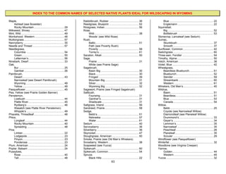 INDEX TO THE COMMON NAMES OF SELECTED NATIVE PLANTS IDEAL FOR WILDSCAPING IN WYOMING

Maple,                                                                     Rabbitbrush, Rubber ....................................... 36                 Blue .......................................................... 22
    Ashleaf (see Boxelder)                                                 Reedgrass, Bluejoint ....................................... 52                Englemann ............................................... 22
    Rocky Mountain ........................................ 29             Ricegrass, Indian ............................................. 56        Squirreltail,
Milkweed, Showy ............................................. 47           Rose,                                                                          Big ............................................................ 52
Mint, Wild ......................................................... 49         Wild........................................................... 38        Bottlebrush ............................................... 53
Monkshood, Western....................................... 48                    Woods’ (see Wild Rose)                                               Stonecrop, Lanceleaf (see Sedum)
Muttongrass ..................................................... 57       Rush,                                                                     Sumac,
Nannyberry ...................................................... 35            Baltic......................................................... 51        Skunkbush................................................ 37
Needle and Thread .......................................... 57                 Path (see Poverty Rush)                                                   Smooth ..................................................... 37
Needlegrass,                                                                    Poverty ..................................................... 58     Sunflower, Common ........................................ 42
    Columbia .................................................. 54              Torrey’s..................................................... 61     Switchgrass ..................................................... 60
    Green........................................................ 55       Sacaton, Alkali ................................................. 50      Three-awn, Fendler ......................................... 54
    Letterman’s ............................................... 56         Sage,                                                                     Timothy, Alpine................................................ 50
Ninebark, Dwarf ............................................... 33              Prairie ....................................................... 31   Vetch, American .............................................. 38
Oak,                                                                            White (see Prairie Sage)                                             Violet, Blue ...................................................... 42
    Bur ............................................................ 25    Sagebrush,                                                                Wheatgrass,
    Gambel ..................................................... 26             Basin Big .................................................. 30           Beardless Bluebunch................................ 51
Paintbrush,                                                                     Black......................................................... 30         Bluebunch................................................. 52
    Desert ....................................................... 43           Fringed ..................................................... 39          Slender ..................................................... 59
    Narrowleaf (see Desert Paintbrush)                                          Mountain Big............................................. 31              Streambank .............................................. 60
    Wyoming................................................... 49               Silver......................................................... 32        Western .................................................... 61
    Yellow ....................................................... 49           Wyoming Big ............................................ 32          Whiskers, Old Man’s........................................ 45
Pasqueflower ................................................... 45        Sagewort, Prairie (see Fringed Sagebrush)                                 Wildrye,
Pea, Yellow (see Prairie Golden Banner)                                    Saltbush,                                                                      Basin......................................................... 51
Penstemon,                                                                      Fourwing................................................... 31            Beardless.................................................. 51
    Lowbush ................................................... 44              Gardner’s.................................................. 31            Blue .......................................................... 53
    Platte River ............................................... 45             Shadscale................................................. 31             Canada ..................................................... 54
    Rydberg’s ................................................. 46         Saltgrass, Inland .............................................. 56       Willow,
    Wasatch (see Platte River Penstemon)                                   Sandreed, Prairie............................................. 58              Bebb ......................................................... 25
    Whipple’s .................................................. 49        Sedge,                                                                         Coyote (see Narrowleaf Willow)
Phacelia, Threadleaf........................................ 48                 Bebb’s....................................................... 51          Diamondleaf (see Planeleaf Willow)
Phlox,                                                                          Nebraska .................................................. 57            Drummond’s ............................................. 33
    Longleaf .................................................... 44            Water ........................................................ 61         Geyer’s ..................................................... 34
    Rocky Mountain ........................................ 40             Sedum ............................................................. 40         Lemmon’s ................................................. 35
    Spreading ................................................. 48         Serviceberry .................................................... 36           Narrowleaf ................................................ 35
Pine,                                                                      Silverberry ....................................................... 36         Peachleaf.................................................. 28
    Limber....................................................... 22       Skyrocket ......................................................... 47         Planeleaf................................................... 35
    Lodgepole ................................................. 23         Sloughgrass, American ................................... 50                   Scouler ..................................................... 29
    Pinyon....................................................... 23       Smoke, Prairie (see Old Man’s Whiskers)                                   Windflower (see Pasqueflower)
    Ponderosa ................................................ 23          Snowberry, Western ........................................ 38            Winterfat .......................................................... 32
Plum, American ............................................... 24          Soapweed (see Yucca)                                                      Woodbine (see Virginia Creeper)
Poplar, Balsam ................................................ 24         Spikerush......................................................... 60     Yarrow,
Pussytoes,                                                                 Spikerush, Common ........................................ 54                  Golden ...................................................... 44
    Rose ......................................................... 40      Spruce,                                                                        Western .................................................... 49
    Tall ............................................................ 48        Black Hills ................................................. 22     Yucca............................................................... 32
                                                                                                            63
 