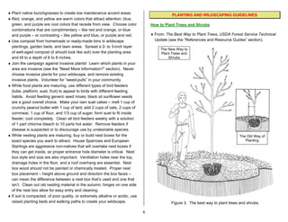 ♦ Plant native bunchgrasses to create low maintenance accent areas.                            PLANTING AND WILDSCAPING GUIDELINES
♦ Red, orange, and yellow are warm colors that attract attention; blue,
  green, and purple are cool colors that recede from view. Choose color             How to Plant Trees and Shrubs
  combinations that are complimentary – like red and orange, or blue
  and purple – or contrasting – like yellow and blue, or purple and red.            ♦ From: The Best Way to Plant Trees, USDA Forest Service Technical
♦ Use compost from homemade or ready-made bins in wildscape                           Update (see the “References and Resource Guides” section).
  plantings, garden beds, and lawn areas. Spread a 2- to 3-inch layer
                                                                                         The New Way to
  of well-aged compost (it should look like soil) over the planting area                 Plant Trees and
  and till to a depth of 6 to 8 inches.                                                      Shrubs
♦ Join the campaign against invasive plants! Learn which plants in your
  area are invasive (see the “Need More Information?” section). Never
  choose invasive plants for your wildscape, and remove existing
  invasive plants. Volunteer for “weed-pulls” in your community.
♦ While food plants are maturing, use different types of bird feeders
  (tube, platform, suet, fruit) to appeal to birds with different feeding
  habits. Avoid feeding generic seed mixes; black oil sunflower seeds
  are a good overall choice. Make your own suet cakes – melt 1 cup of
  crunchy peanut butter with 1 cup of lard; add 2 cups of oats, 2 cups of
  cornmeal, 1 cup of flour, and 1/3 cup of sugar; form suet to fit inside
  feeder; cool completely. Clean all bird feeders weekly with a solution
  of 1 part chlorine bleach to 10 parts hot water. Remove feeders if
  disease is suspected or to discourage use by undesirable species.
♦ While nesting plants are maturing, buy or build nest boxes for the                                                               The Old Way of
  exact species you want to attract. House Sparrows and European                                                                      Planting
  Starlings are aggressive non-natives that will overtake nest boxes if
  they can get inside, so proper entrance hole diameter is critical. Nest
  box style and size are also important. Ventilation holes near the top,
  drainage holes in the floor, and a roof overhang are essential. Nest
  box wood should not be painted or chemically treated. Proper nest
  box placement – height above ground and direction the box faces –
  can mean the difference between a nest box that’s used and one that
  isn’t. Clean out old nesting material in the autumn; hinges on one side
  of the nest box allow for easy entry and cleaning.
♦ If soil is compacted, of poor quality, or extremely alkaline or acidic, use
  raised planting beds and walking paths to create your wildscape.                            Figure 3. The best way to plant trees and shrubs.

                                                                                6
 