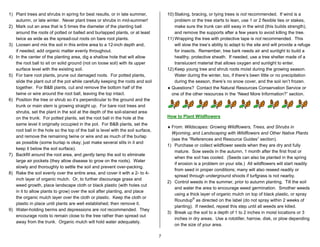 1) Plant trees and shrubs in spring for best results, or in late summer,              10) Staking, bracing, or tying trees is not recommended. If wind is a
   autumn, or late winter. Never plant trees or shrubs in mid-summer!                     problem or the tree starts to lean, use 1 or 2 flexible ties or stakes,
2) Mark out an area that is 5 times the diameter of the planting ball                     make sure the trunk can still sway in the wind (this builds strength),
   around the roots of potted or balled and burlapped plants, or at least                 and remove the supports after a few years to avoid killing the tree.
   twice as wide as the spread-out roots on bare root plants.                         11) Wrapping the tree with protective tape is not recommended. This
3) Loosen and mix the soil in this entire area to a 12-inch depth and,                    will slow the tree’s ability to adapt to the site and will provide a refuge
   if needed, add organic matter evenly throughout.                                       for insects. Remember, tree bark needs air and sunlight to build a
4) In the center of the planting area, dig a shallow hole that will allow                 healthy, protective sheath. If needed, use a tree shelter made of a
   the root ball to sit on solid ground (not on loose soil) with its upper                translucent material that allows oxygen and sunlight to enter.
   surface level with the existing soil.                                              12) Keep young tree and shrub roots moist during the growing season.
5) For bare root plants, prune out damaged roots. For potted plants,                      Water during the winter, too, if there’s been little or no precipitation
   slide the plant out of the pot while carefully keeping the roots and soil              during the season, there’s no snow cover, and the soil isn’t frozen.
   together. For B&B plants, cut and remove the bottom half of the                    ♦ Questions? Contact the Natural Resources Conservation Service or
   twine or wire around the root ball, leaving the top intact.                          one of the other resources in the “Need More Information?” section.
6) Position the tree or shrub so it’s perpendicular to the ground and the
   trunk or main stem is growing straight up. For bare root trees and
   shrubs, set the plant in the soil at the depth of the soil-stained area
   on the trunk. For potted plants, set the root ball in the hole at the              How to Plant Wildflowers
   same level it originally occupied in the pot. For B&B plants, set the
                                                                                      ♦ From: Wildscapes: Growing Wildflowers, Trees, and Shrubs in
   root ball in the hole so the top of the ball is level with the soil surface,
                                                                                        Wyoming, and Landscaping with Wildflowers and Other Native Plants
   and remove the remaining twine or wire and as much of the burlap
                                                                                        (see the “References and Resource Guides” section).
   as possible (some burlap is okay; just make several slits in it and
                                                                                      1) Purchase or collect wildflower seeds when they are dry and fully
   keep it below the soil surface).
                                                                                          mature. Sow seeds in the autumn, 1 month after the first frost or
7) Backfill around the root area, and gently tamp the soil to eliminate
                                                                                          when the soil has cooled. (Seeds can also be planted in the spring
   large air pockets (they allow disease to grow on the roots). Water
                                                                                          if erosion is a problem on your site.) All wildflowers will start readily
   slowly and thoroughly to settle the soil and prevent over-packing.
                                                                                          from seed in proper conditions; many will also reseed readily or
8) Rake the soil evenly over the entire area, and cover it with a 2- to 4-
                                                                                          spread through underground shoots if turfgrass is not nearby.
   inch layer of organic mulch. Or, to further discourage grass and
                                                                                      2) Control weeds in the summer, prior to autumn planting. Till the soil
   weed growth, place landscape cloth or black plastic (with holes cut
                                                                                          and water the area to encourage weed germination. Smother weeds
   in it to allow plants to grow) over the soil after planting, and place
                                                                                          using a thick layer of organic mulch on top of black plastic, or spray
   the organic mulch layer over the cloth or plastic. Keep the cloth or
                                                                                          Roundup® as directed on the label (do not spray within 2 weeks of
   plastic in place until plants are well established; then remove it.
                                                                                          planting). If needed, repeat this step until all weeds are killed.
9) Water-holding berms and depressions are not recommended. They
                                                                                      3) Break up the soil to a depth of 1 to 2 inches in moist locations or 3
   encourage roots to remain close to the tree rather than spread out
                                                                                          inches in dry areas. Use a rototiller, harrow, disk, or plow depending
   away from the trunk. Organic mulch will hold water adequately.
                                                                                          on the size of your area.

                                                                                  7
 