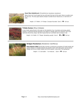 Dwarf Blue Rabbitbrush (Chrysothamnus nauseosus nauseosus)
     When there isn’t much space but you still want the look of the west, there is usually room
     for this one. The blue-gray leaved compact rounded shrub matures to 2-3’ tall and 3-4’
     wide.


                Height: 2-3’ Width: 3-4’ Shape: Compact Rounded Zone 3           Full sun




 Trilobe Sumac (Rhus trilobata)
 A very hardy native found in the open on the foothills of our mountains and along upland
 streams. A personal favorite because of its ability to handle nearly any extreme! This multi
 stemmed shrub has unique 'oak like' leaves that turn a brilliant red to orange in fall.

          Height: 4-6’ Width: 5-7’ Shape: Spreading upright Zone 3       to        Full sun




          Bridges Penstemon (Penstemon rostriflorus)

          Plant Select® 2006 During later summer a continuous succession of small scarlet red
          tubular flowers in elongate panicles top slender stems with dark green narrow leaved
          foliage that forms a basal rosette and climb upward. Long lived if not pampered.

                      Height: 1’-2’ and width: 1’ at maturity   Zone 4        Full sun




Page 10                       http://www.WyomingPlantCompany.com
 