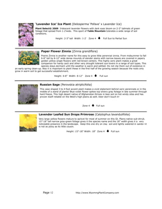 ‘Lavender Ice’ Ice Plant (Delosperma ‘Psfave’ x Lavender Ice)
                   Plant Select® 2009 Iridescent lavender flowers with dark eyes bloom on 2-3” tallmats of green
                   foliage that spread from 1-2’wide. This sport of Table Mountain tolerates a wide range of soil
                   conditions.

                                      Height: 2-3” tall Width: 1-2'   Zone 4         Full Sun to Partial Sun




                        Paper Flower Zinnia (Zinnia grandiflora)
                        Prairie Zinnia is another name for this easy to grow little perennial zinnia. From midsummer to fall
                        6-8” tall by 8-12” wide dense mounds of slender stems with narrow leaves are covered in papery
                        golden yellow single flowers with red-brown centers. This highly xeric plant makes a great
                        companion for hardy cacti and other very drought tolerant sun-lovers in a range of soil types. This
                        species stays dormant until the weather is warm and settled. Do not clip them out of existence in
an early spring clean-up. Also it is important to plant these in the first half of the growing season because the roots only
grow in warm soil to get successful establishment.

                                     Height: 6-8” Width: 8-12”    Zone 4          Full sun



                       Russian Sage (Perovskia atriplicifolia)
                       This vase shaped 3 to 4 foot accent plant makes a vivid statement behind xeric perennials or in the
                       middle of a stand of plants! Blue-violet flower spikes top silvery gray foliage in late summer through
                       hard freeze. This high desert native of Afghanistan thrives in lean soil on hot windy sites and has
                       proven itself reliable on the West's high plains as well. Deer don’t touch it!



                                                               Zone 4          Full sun



                      Lavender Leafed Sun Drops Primrose (Calylophus lavandulifolia)
                      Very large yellow flowers mature to apricot for most of summer on this Gt. Plains native sub-shrub.
                      15”-18” tall narrow gray-green foliage gives it the species name and the 18” width gives it a very
                      noticeable presence in the landscape. Keep this one dry on clay soil and lightly watered in sands—it
                      is not as picky as its little cousin.

                                                Height: 15”-18” Width: 18" Zone 4            Full sun




                          Page 12                        http://www.WyomingPlantCompany.com
 
