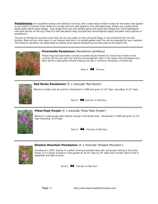 Penstemons are wonderful natives and hybrids of all sizes with a wide range of bloom times for the water-wise garden
or your patch of prairie! From white thru purple and from pale pastel to fully saturated hues, flowers are usually borne
along stalks above basal foliage. Size ranges from tiny rock garden gems with grass-like foliage thru wild snapdragons
with pink blooms on the top 3 feet of 5 foot tall stems! Keep yourself and hummingbirds happy and plant many species of
penstemon!
The key to Penstemon success is two-fold, do not over water or they will grow floppy or die and second do not over
fertilize. Most will live more years in our mineral soils than in a tended garden bed! You will be rewarded for your restraint.
The hands on gardener can dead-head to prolong some species blossoming and add years to the plant’s life.



                          Pineneedle Penstemon (Penstemon pinifolius)
                          These long-lived perennials covered in scarlet tubular flowers for nearly two months in the
                          summer will be a hit with you and the hummingbirds! Later in the season this somewhat xeric
                          plant will be a dark green mound looking a lot like a miniature evergreen, 8 inches tall.



                                                                 Zone 4          Full sun




                  Red Rocks Penstemon (P. x mexicale ‘Red Rocks’)

                  Blooms in bright rose all summer. Introduced in 1999 and grow 12-15” high, mounding 8-12” wide.




                                                       Zone 4         Full Sun or Part Sun




                   Pikes Peak Purple (P. x mexicale ‘Pikes Peak Purple’)

                   Blooms in violet purple with intense veining in the throat area. Introduced in 1999 and grow 12-15”
                   high mounding 8-12”wide




                                                       Zone 4          Full Sun or Part Sun




                   Shadow Mountain Penstemon (P. x mexicale ‘Shadow Mountain’)

                   Introduced in 2007, blooms in a softer luminous lavender-blue with red-purple veining in the white
                   throat. It is a larger presence in the garden at 18-24” high by 18” wide and a hardier Zone 4 that is
                   adaptable and easy to grow.




                                             Zone 4          Full Sun or Part Sun




                           Page 13                        http://www.WyomingPlantCompany.com
 