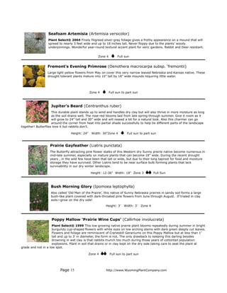 Seafoam Artemisia (Artemisia versicolor)
                  Plant Select® 2004 Finely filigreed silver-gray foliage gives a frothy appearance on a mound that will
                  spread to nearly 3 feet wide and up to 18 inches tall. Never floppy due to the plants’ woody
                  underpinnings. Wonderful year-round textural accent plant for xeric gardens. Rabbit and Deer resistant.


                                                     Zone 4         Full sun


                  Fremont’s Evening Primrose (Oenothera macrocarpa subsp. ‘fremontii)
                  Large light yellow flowers from May on cover this very narrow leaved Nebraska and Kansas native. These
                  drought tolerant plants mature into 10” tall by 18” wide mounds requiring little water.




                                                Zone 4        Full sun to part sun



                    Jupiter’s Beard (Centranthus ruber)
                     This durable plant stands up to wind and handles dry clay but will also thrive in more moisture as long
                     as the soil drains well. The rose-red blooms last from late spring through summer. Give it room as it
                     will grow to 24” tall and 30” wide and will reseed a bit for a natural look. Also this charmer can go
                     around the corner from heat into partial shade successfully to help tie different parts of the landscape
together! Butterflies love it but rabbits don't.

                                  Height: 24"    Width: 30"Zone 4         Full sun to part sun



                   Prairie Gayfeather (Liatris punctata)
                   The Butterfly attracting pink flower stalks of this Western dry Sunny prairie native become numerous in
                   mid-late summer, especially on mature plants that can become 18” wide. During the recent drought
                   years , in the wild few have been that tall or wide, but due to their long taproot for food and moisture
                   storage they have survived. Other Liatris tend to be near surface bulb forming plants that lack
                   survivability in our dry winter landscape.

                                                 Height: 12-36" Width: 18" Zone 3             Full Sun



                    Bush Morning Glory (Ipomoea leptophylla)
                    Also called ‘Old Man of the Prairie’, this native of Sunny Nebraska prairies in sandy soil forms a large
                    bush-like plant covered with dark-throated pink flowers from June through August. If trialed in clay
                    soils—grow on the dry side!
                                                          Height: 3’    Width: 3’    Zone 4



                    Poppy Mallow 'Prairie Wine Cups' (Callirhoe involucrata)
                     Plant Select® 1999 This low growing native prairie plant blooms repeatedly during summer in bright
                     burgundy cup-shaped flowers with white eyes on low arching stems with dark green deeply cut leaves.
                     Flowers and foliage are reminiscent of Cranesbill Geraniums on this Poppy Mallow but at less than 1’
                     tall and up to 3’ in diameter, the form is not. The only drawback to keeping this darling besides
                     drowning in wet clay is that rabbits munch too much during those years of cottontail population
                     explosions. Plant in soil that drains or in clay kept on the dry side taking care to seat the plant at
grade and not in a low spot.

                                                Zone 4        Full sun to part sun




                          Page 15                         http://www.WyomingPlantCompany.com
 