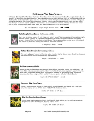 Echinacea: The Coneflowers
Echinacea—Developed from Tall Grass Prairie and Mixed Grass Prairie native species, the Coneflowers grow best in Sun in
Semi-dry to Semi-moist but never soggy soil. With their background in prairie settings, mulch on the root zone or the soil-
shading effect of other plants like grass does in a meadow will provide the right conditions for them to thrive. The genus
Edhinacea was named 2003 GreatPlants Perennial of the Year! Turn to the coneflowers for more color, form and bloom
time than you could ever hope to get from a Shasta daisy. All have cut flower potential, butterfly attraction and winter
food for small songbirds if you leave flower stalks with seed heads standing in the winter garden.

                          Full Sun to Part Sun   Shape: Upright clustered stems            to




                Pale Purple Coneflower (Echinacea pallida)

                Start your coneflower season off with this prairie native’s large 3” diameter, pale pink flowers blooming for
                a month in early summer. At 4’Height by 2’Width they can anchor the back of a border or stand tall
                among a cluster of Karl Foerster Feather Reed Grass. The conspicuous black central cones will hold until
                late autumn to please any visiting pine siskins or other little songbirds.

                                                       4’ Height by 2’ Width     Zone 4




                   Yellow Coneflower (Echinacea paradoxa)

                   This one is yellow and a summer blooming native from the Ozarks. Grower report Zone 3 hardiness, so
                   their seed sources must be from especially selected areas.

                                                       Height: 2-4’ by Width: 2’     Zone 3




                  Echinacea angustifolia

                  Blooms in pink to creamy white with drooping petals around the central cone in July and August. The
                  roots of this native species are recommended by herbalists for enhanced respiratory system immunity.
                  While many growers are careless when differentiating between E. angustifolia and E. pallida ours
                  assures us that these are grown from seed of the correct species collected in South Dakota.

                                                    Height: 18-36” Width:18-24”       Zone 3




                    Summer Sky Coneflower

                    This is a prolific bloomer of huge, 5”, very fragrant bicolor flowers of light orange with a rose halo
                    around an orange cone on 48” tall stalks in 18-24”wide clusters of stems.

                                                      Height: 48"   Width: 18-24"    Zone 4




                     Big Sky Sunrise Coneflower

                     Sturdy, basal branching plants produce a profusion of flower stems, each of which carries a large,
                     bright lemon-yellow 3-4” fragrant, drooping petaled bloom.

                                                         Height: 30”    Width: 18” Zone 4




                          Page 18                         http://www.WyomingPlantCompany.com
 