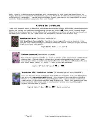 Recent crosses of the various native Echinacea have led to the development of some vibrant new blossom colors, and
heights. Some even have wonderfully fragrant blooms. As a group though they do not break dormancy as quickly in the
spring as some of their ancestors. The selections that follow will probably not arrive from our grower as soon as most of
our plants. We believe that their beauty makes them worth the wait.




                                          Crane’s Bill Geraniums
These hardy perennials remind us of mountain meadows and woodland edge gardens. With average garden watering and
draining soils they are long-lived joys in Sunny to Partial Sun beds and borders.    Garden Salvia, Echinacea , Alpine
Willow Herb, Golden Jubilee Hyssop, Aster and Golden Rods make good companion plants with geraniums as they all need
the same growing conditions and give a great garden look, with pleasing colors and forms all season long!


                Bloody Crane’s Bill (Geranium sanguineum)
                2002 Great Plants Perennial of the Year! Bowl-shaped, magenta flowers cover the plants in late
                spring and early summer, shearing may reward you with a later rebloom. Deeply cut foliage is mounding
                in habit turning blood red in autumn.
                                                  Height: 12-15”    Width: 12-18”   Zone 3




                  Oliviana Soapwort(Saponaria x oliviana)

                  If you have used saponaria ocymoides as a rockery or semi-dry garden groundcover, it is time to look to
                  the genus again! This large flowered hybrid cross of pumila and caespitosa forms attractive circular
                  mounds of green foliage covered by cool, clear pink flowers in June. Attracts and feeds butterflies early
                  in the garden season. Height: 2-3” Width: 12” Plant in Sun in well drained soil.

                                    Height: 2-3 " Width: 12" Zone 4          to




                   ‘Mongolian Mist’ Pincushion Flower (Scabiosa superba ‘Mongolian Mist’)

                   If you love Pincushion flowers in the garden for butterflies and in vases for you but tire of losing them
                   over winter try this GreatPlants 2004 Release! The original plants were collected by Great Plants
                   Members on a mountain north of Hotot, Inner Mongolia in 1997. Rigorous selection since then has
                   made this large, purple-blue full pincushion flower on substantial 1’ Height stems above textured deep
                   green mounded 1’ Width foliage, ready to come to western gardens, rockeries, and true alpine
                   gardens. Don’t over-water on tight soil.

                           Height: 1' Width: 1"   Zone 3       to           Sun to partial shade




                          Page 19                        http://www.WyomingPlantCompany.com
 