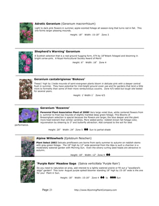 Adratic Geranium (Geranium macrorrhizum)
               Light to dark pink flowers in summer, apple-scented foliage all season-long that turns red in fall. This
               one forms larger pleasing mounds.
                                                 Height: 18”      Width: 15-18”    Zone 3




               Shepherd’s Warning’ Geranium
               A Scottish selection that is a real ground hugging form, 6”H by 18”Wdark foliaged and blooming in
               bright cerise-pink. A Royal Horticultural Society Award of Merit!
                                                     Height: 6”   Width: 18”     Zone 4




               Geranium cantabrigiense ‘Biokovo’
               These1’ high by 1’wide mounds of semi-evergreen plants bloom in delicate pink with a deeper central
               flush in summer. They have potential for mid-height ground cover use and for gardens that tend a little
               more to formality than some of their more rambunctious cousins. Zone 4/5 rated but tough site tested
               for several years.
                                                     Height: 1’ Width:1’   Zone 4/5




                    Geranium ‘Rozanne’
                    Perennial Plant Association Plant of 2008! Very large violet blue, white centered flowers from
                    e. summer to frost top mounds of slightly marbled deep green foliage. This Blooms of
                    Bressingham selection is special because the flowers are larger, the blue deeper and the plant
                    more heat tolerant than similar varieties. More added perks: reddish-brown fall foliage color,
                    rejuvenation by shearing to 3” and butterfly attraction. Add compost to the soil for best
performance.

                            Height: 20”   Width: 24” Zone 5           Sun to partial shade



                 Alpine Willowherb (Epilobium fleischeri)
                 Plant Select 2002 Delicate pinkflowers are borne from early summer to autumn on reddish stems
                 with gray-green foliage. The 18” high by 12” wide perennial from the Alps is such a charmer in a
                 moderately watered garden with Morning Sun. Even the silvery curling seed heads are attractive in
                 autumn.

                                                 Height: 18"      Width: 12" Zone 4



                 ‘Purple Rain’ Meadow Sage (Salvia verticillata ‘Purple Rain’)
                 Do you need to naturalize an area, add interest to a lightly watered prairie or fill out a “woodland’s
                 edge” garden? This June- August purple spiked bloomer standing 18” high by 15-18” wide is the one
                 for you! Plant in Sun.

                                       Height: 18”    Width: 15-18”     Zone 4        to      Sun




                      Page 23                         http://www.WyomingPlantCompany.com
 