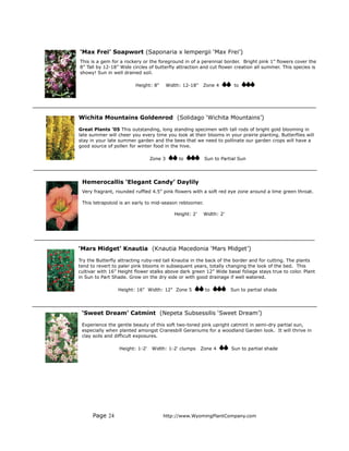 ‘Max Frei’ Soapwort (Saponaria x lempergii ‘Max Frei’)
This is a gem for a rockery or the foreground in of a perennial border. Bright pink 1” flowers cover the
8” Tall by 12-18” Wide circles of butterfly attraction and cut flower creation all summer. This species is
showy! Sun in well drained soil.

                         Height: 8"       Width: 12-18"    Zone 4       to




Wichita Mountains Goldenrod (Solidago ‘Wichita Mountains’)

Great Plants ’05 This outstanding, long standing specimen with tall rods of bright gold blooming in
late summer will cheer you every time you look at their blooms in your prairie planting. Butterflies will
stay in your late summer garden and the bees that we need to pollinate our garden crops will have a
good source of pollen for winter food in the hive.

                                 Zone 3        to          Sun to Partial Sun




 Hemerocallis ‘Elegant Candy’ Daylily
 Very fragrant, rounded ruffled 4.5” pink flowers with a soft red eye zone around a lime green throat.

 This tetrapoloid is an early to mid-season rebloomer.

                                             Height: 2’    Width: 2’




‘Mars Midget’ Knautia (Knautia Macedonia ‘Mars Midget’)

Try the Butterfly attracting ruby-red tall Knautia in the back of the border and for cutting. The plants
tend to revert to paler pink blooms in subsequent years, totally changing the look of the bed. This
cultivar with 16” Height flower stalks above dark green 12” Wide basal foliage stays true to color. Plant
in Sun to Part Shade. Grow on the dry side or with good drainage if well watered.

                 Height: 16" Width: 12" Zone 5             to          Sun to partial shade




 ‘Sweet Dream’ Catmint (Nepeta Subsessilis ‘Sweet Dream’)

 Experience the gentle beauty of this soft two-toned pink upright catmint in semi-dry partial sun,
 especially when planted amongst Cranesbill Geraniums for a woodland Garden look. It will thrive in
 clay soils and difficult exposures.

                  Height: 1-2'   Width: 1-2' clumps       Zone 4       Sun to partial shade




      Page 24                         http://www.WyomingPlantCompany.com
 