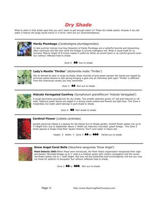 Dry Shade
What to plant in that shady spot that you can’t seem to get enough water to? These dry shade plants. Anyway if you did
water it heavily the slugs would march in in force. Here are our recommendations.




                 Hardy Plumbago (Ceratostigma plumbaginoides)
                 In late summer intense true blue blossoms of Hardy Plumbago are a butterfly favorite and blossoming
                 often continues into fall even while the foliage is turning mahogany red. What a visual treat for us
                 humans! Mature height of 8 inches makes it useful for either an accent plant or as colorful ground cover.
                 Sun without reflected heat to shade.


                                                  Zone 4        Sun to shade



                 Lady’s Mantle ‘Thriller’ (Alchemilla mollis ‘Thriller’)
                 Not as desired by deer or slugs as Hosta, these mounds of gray-green parasol like leaves are topped by
                 primrose yellow blooms in late spring bringing a glow into an otherwise dark spot! ‘Thriller' is different
                 from the chartreuse variety you may remember.

                                              Zone 3          Part sun to shade



                 Hidcote Variegated Comfrey (Symphytum grandiflorum ‘Hidcote Variegated’)
                 A tough decorative groundcover for dry shade. This smaller selection grows 12” tall and matures to 18”
                 wide. Glabrous green leaves are edged in a strong cream-yellow and flowers are light blue. This Zone 4
                 moderately low water plant belongs in part shade to shade.


                                            Zone 4           Part shade to shade



                 Cardinal Flower (Lobelia cardinalis)

                 Upright perennial lobelia is a beauty for the Partial Sun to Shade garden. Scarlet flower spikes rise up to
                 3’ Height from July to September above 3’ Width (at maturity) mounded green foliage. This Zone 3
                 hardy species is longer-lived than ‘Queen Victoria.’ Don’t over-water in heavy soil.

                                     Height: 3' Width: 3' Zone 3         to           Partial sun to shade




                  Snow Angel Coral Bells (Heuchera sanguinea ’Snow Angel’)
                  Plant Select® 2003 When these were introduced, the Plant Select organization recognized their vigor
                  and beauty. Mounded foliage up to 1’ wide is a medium green with creamy variegation and the cerise-
                  red flower spikes rise to 1’ total height. Not only will the butterflies and hummingbirds visit but you may
                  cut these for addition to bouquets! Sun without reflected heat to shade.


                                         Zone 3        to         Part sun to shade




                         Page 25                            http://www.WyomingPlantCompany.com
 