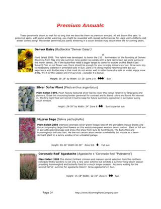 Premium Annuals
     These perennials bloom so well for so long that we describe them as premium annuals. All will bloom this year. In
protected spots, with some winter watering, you might be rewarded with repeat performances for years until a bitterly cold
 winter comes along! The tender perennial pot plants wintering in a south window may secure their life for coming years.



                  Denver Daisy (Rudbeckia “Denver Daisy’)

                                                                                       th
                  Plant Select 2009. This hybrid was developed to honor the 150 Anniversary of the founding of Denver.
                  Blooming from May into late summer, long golden ray petals with a dark red-brown eye zone surround
                  the brown center. (As if the butterflies need a bigger target to come for snacks on this Black-Eyed
                  Susan!) Plan on cut flower use, there should be enough for you to enjoy indoors and out. Grow semi dry
                  to moderately watered in amended soils in Sun. Zone 3-9 rating implies hardiness here but our
                  experience with Rudbeckias is that most do not winter well in either bone-dry soils or under soggy snow
                  drifts. Try it for the season and if it survives , consider it a bonus!

                                Height: 18-28” by Width: 10-25” Zone 3-9              Sun



                   Silver Dollar Plant (Plectranthus argentatus)

                   Plant Select 1999. Plush heavily textured silver leaves cover this coleus relative for large pots and
                   planters. Grow this mounding tender perennial for contrast and to blend colors and forms for interest
                   in. The first light frost will not kill it but to keep for future summers overwinter in an indoor sunny
                   south window.

                                       Height: 24-30” by Width: 24” Zone 8           Sun to partial sun




                    Mojave Sage (Salvia pachyphylla)

                    Plant Select 2005 Intensely aromatic silver-green foliage sets off the persistent mauve bracts and
                    the accompanying large blue flowers on this woody evergreen western desert native. Plant in full sun
                    in soil with good drainage and enjoy the show from June to hard freeze. The butterflies and
                    hummingbirds will also visit. We are not certain about winter survivability but maybe as a semi-
                    dormant plant in a sunny window of an unheated garage.



                                 Height: 18-36” Width:30-36”     Zone 5/6        Full sun



                     Coronado Red’ Agastache (Agastache x ‘Coronado Red’ ‘Pstessene’)

                     Plant Select 2009 This distinct brilliant crimson and maroon spired selection from the northern
                     Colorado Welby Gardens is not only a new color scheme but exhibits a summer-long bloom season
                     providing hummingbird and butterfly food for a much longer season! No more waiting for the
                     second half of summer for agastache bloom! Grow agastache’s in Sun.



                                               Height: 15-18” Width: 12-15” Zone 5            Sun




                         Page 29                        http://www.WyomingPlantCompany.com
 