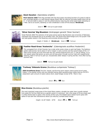 Giant Sacaton (Sporobolus wrightii)
   Plant Select® 2006 Think Big and Bold with this blue-green mounding fountain of a grass to add to
   your xeriscape garden or a well drained regular flower bed! At maturity the grass blades alone will be
   3’ - 4’ tall and width to about 3’ and the pinkish blooms maturing into white seed heads extending to
   7 feet. Use as an accent, backdrop or even windbreak to show off this beauty! Windbreak.


                         Zone 4         Full sun to part shade



'Silver Sunrise' Big Bluestem (Andropogon gerardii 'Silver Sunrise')
Great Plants® 2006 This selection of tall grass prairie species Big Bluestem was University of Nebraska
evaluated and introduced due to its excellent color. The showy blue basal foliage turns rich purple in fall
and wide golden bands in the flowering culms provide striking contrast.

                       Height: 5' Width: 2'   Windbreak       Zone 4        Full sun



   Feather Reed Grass ‘Avalanche’ (Calamagrostis acutiflora ‘Avalanche’)
   This variegated form of Karl Foerster has a wide white center stripe on each leaf blade. The feathery,
   golden seed plumes rise to about 3’ tall in Casper in early summer and the overall shape of the 1-2’
   wide clump rounds out a bit more than the very vertical towering form of K. F. Like its sibling, it is a
   cool season grass that greens up early and will stay green through summer heat with supplemental
   watering. Plant in full sun to part sun. Occasionally water deeply in spring and fall, more often during
   summer heat.


                        Zone 4           Full sun to part shade



 ‘Trailway’ Sideoats Grama (Bouteloua curtipendula ‘Trailway’)

 2005 GreatPlants Grass This fine- leaved, sod-forming warm season native prairie bunch grass
 makes a nice garden accent with airy delicate looking seed cascading down stalks that are 16-32”H
 (dependent upon amount of water) above short, basal foliage clumps 18”W. Plant in Sun




                                          Zone 4     to        Sun




Blue Grama (Bouteloua gracilis)

The most important range grass of the Great Plains makes a durable low water lawn (usually started
from seed) for Full Sun sites but as a garden accent it is precious! Get a few plugs to fill any empty spot
in a Blue Grama lawn or place a few clumps of this curly, fine-bladed warm season bunch grass with
spikes of eye-lash-like inflorescence above (at maturity) clumped basal foliage.

                      Height: 16-20” Width: 18”W          Zone 4     to        Full sun




       Page 35                         http://www.WyomingPlantCompany.com
 