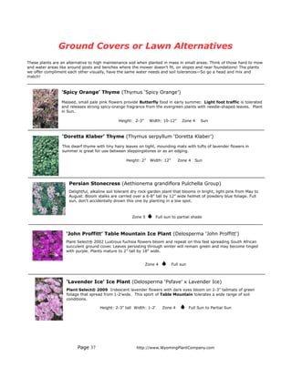 Ground Covers or Lawn Alternatives
These plants are an alternative to high maintenance sod when planted in mass in small areas. Think of those hard to mow
and water areas like around posts and benches where the mower doesn‘t fit, on slopes and near foundations! The plants
we offer compliment each other visually, have the same water needs and soil tolerances—So go a head and mix and
match!



                 'Spicy Orange’ Thyme (Thymus ‘Spicy Orange’)

                 Massed, small pale pink flowers provide Butterfly food in early summer. Light foot traffic is tolerated
                 and releases strong spicy-orange fragrance from the evergreen plants with needle-shaped leaves. Plant
                 in Sun.

                                               Height: 2-3”     Width: 10-12”      Zone 4     Sun



                 ‘Doretta Klaber’ Thyme (Thymus serpyllum ‘Doretta Klaber’)

                 This dwarf thyme with tiny hairy leaves on tight, mounding mats with tufts of lavender flowers in
                 summer is great for use between steppingstones or as an edging.

                                                   Height: 2”   Width: 12”       Zone 4    Sun




                     Persian Stonecress (Aethionema grandiflora Pulchella Group)
                     Delightful, alkaline soil tolerant dry rock garden plant that blooms in bright, light pink from May to
                     August. Bloom stalks are carried over a 6-8” tall by 12” wide helmet of powdery blue foliage. Full
                     sun, don’t accidentally drown this one by planting in a low spot.



                                                      Zone 5         Full sun to partial shade



                   ‘John Proffitt’ Table Mountain Ice Plant (Delosperma 'John Proffitt')
                   Plant Select® 2002 Lustrous fuchsia flowers bloom and repeat on this fast spreading South African
                   succulent ground cover. Leaves persisting through winter will remain green and may become tinged
                   with purple. Plants mature to 2” tall by 18” wide.


                                                              Zone 4         Full sun



                   ‘Lavender Ice’ Ice Plant (Delosperma ‘Psfave’ x Lavender Ice)
                   Plant Select® 2009 Iridescent lavender flowers with dark eyes bloom on 2-3” tallmats of green
                   foliage that spread from 1-2’wide. This sport of Table Mountain tolerates a wide range of soil
                   conditions.

                                     Height: 2-3” tall Width: 1-2'      Zone 4          Full Sun to Partial Sun




                         Page 37                         http://www.WyomingPlantCompany.com
 