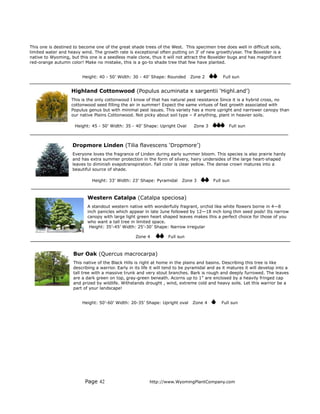 This one is destined to become one of the great shade trees of the West. This specimen tree does well in difficult soils,
limited water and heavy wind. The growth rate is exceptional often putting on 3' of new growth/year. The Boxelder is a
native to Wyoming, but this one is a seedless male clone, thus it will not attract the Boxelder bugs and has magnificent
red-orange autumn color! Make no mistake, this is a go-to shade tree that few have planted.


                         Height: 40 - 50’ Width: 30 - 40’ Shape: Rounded       Zone 2          Full sun


                    Highland Cottonwood (Populus acuminata x sargentii ‘Highl.and’)
                    This is the only cottonwood I know of that has natural pest resistance Since it is a hybrid cross, no
                    cottonwood seed filling the air in summer! Expect the same virtues of fast growth associated with
                    Populus genus but with minimal pest issues. This variety has a more upright and narrower canopy than
                    our native Plains Cottonwood. Not picky about soil type – if anything, plant in heavier soils.

                     Height: 45 - 50’ Width: 35 - 40’ Shape: Upright Oval       Zone 3            Full sun



                    Dropmore Linden (Tilia flavescens ‘Dropmore’)
                    Everyone loves the fragrance of Linden during early summer bloom. This species is also prairie hardy
                    and has extra summer protection in the form of silvery, hairy undersides of the large heart-shaped
                    leaves to diminish evapotranspiration. Fall color is clear yellow. The dense crown matures into a
                    beautiful source of shade.

                             Height: 33’ Width: 23’ Shape: Pyramidal      Zone 3          Full sun



                           Western Catalpa (Catalpa speciosa)
                           A standout western native with wonderfully fragrant, orchid like white flowers borne in 4—8
                           inch panicles which appear in late June followed by 12—18 inch long thin seed pods! Its narrow
                           canopy with large light green heart shaped leaves makes this a perfect choice for those of you
                           who want a tall tree in limited space.
                            Height: 35’-45’ Width: 25’-30’ Shape: Narrow irregular

                                                   Zone 4           Full sun



                    Bur Oak (Quercus macrocarpa)
                    This native of the Black Hills is right at home in the plains and basins. Describing this tree is like
                    describing a warrior. Early in its life it will tend to be pyramidal and as it matures it will develop into a
                    tall tree with a massive trunk and very stout branches. Bark is rough and deeply furrowed. The leaves
                    are a dark green on top, gray-green beneath. Acorns up to 1” are enclosed by a heavily fringed cap
                    and prized by wildlife. Withstands drought , wind, extreme cold and heavy soils. Let this warrior be a
                    part of your landscape!


                         Height: 50’-60’ Width: 20-35’ Shape: Upright oval      Zone 4         Full sun




                          Page 42                         http://www.WyomingPlantCompany.com
 