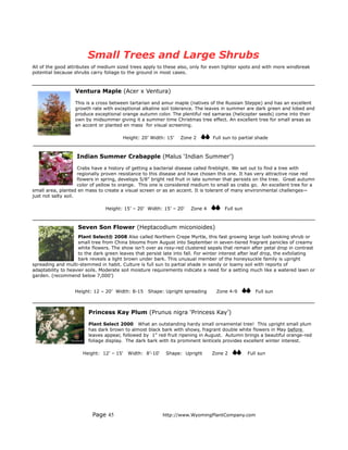 Small Trees and Large Shrubs
All of the good attributes of medium sized trees apply to these also, only for even tighter spots and with more windbreak
potential because shrubs carry foliage to the ground in most cases.



                   Ventura Maple (Acer x Ventura)

                   This is a cross between tartarian and amur maple (natives of the Russian Steppe) and has an excellent
                   growth rate with exceptional alkaline soil tolerance. The leaves in summer are dark green and lobed and
                   produce exceptional orange autumn color. The plentiful red samaras (helicopter seeds) come into their
                   own by midsummer giving it a summer time Christmas tree effect. An excellent tree for small areas as
                   an accent or planted en mass for visual screening.

                                        Height: 20’ Width: 15’    Zone 2        Full sun to partial shade



                   Indian Summer Crabapple (Malus ‘Indian Summer’)

                     Crabs have a history of getting a bacterial disease called fireblight. We set out to find a tree with
                     regionally proven resistance to this disease and have chosen this one. It has very attractive rose red
                     flowers in spring, develops 5/8” bright red fruit in late summer that persists on the tree. Great autumn
                     color of yellow to orange. This one is considered medium to small as crabs go. An excellent tree for a
small area, planted en mass to create a visual screen or as an accent. It is tolerant of many environmental challenges—
just not salty soil.

                                Height: 15’ – 20’ Width: 15’ – 20’    Zone 4         Full sun



                    Seven Son Flower (Heptacodium miconioides)
                    Plant Select® 2008 Also called Northern Crepe Myrtle, this fast growing large lush looking shrub or
                    small tree from China blooms from August into September in seven-tiered fragrant panicles of creamy
                    white flowers. The show isn’t over as rosy-red clustered sepals that remain after petal drop in contrast
                    to the dark green leaves that persist late into fall. For winter interest after leaf drop, the exfoliating
                    bark reveals a light brown under bark. This unusual member of the honeysuckle family is upright
spreading and multi-stemmed in habit. Culture is full sun to partial shade in sandy or loamy soil with reports of
adaptability to heavier soils. Moderate soil moisture requirements indicate a need for a setting much like a watered lawn or
garden. (recommend below 7,000’)


                   Height: 12 – 20’ Width: 8-15    Shape: Upright spreading       Zone 4-9         Full sun



                         Princess Kay Plum (Prunus nigra ‘Princess Kay’)

                         Plant Select 2000 What an outstanding hardy small ornamental tree! This upright small plum
                         has dark brown to almost black bark with showy, fragrant double white flowers in May before
                         leaves appear, followed by 1” red fruit ripening in August. Autumn brings a beautiful orange-red
                         foliage display. The dark bark with its prominent lenticels provides excellent winter interest.

                      Height: 12’ – 15'   Width: 8’-10'    Shape: Upright       Zone 2          Full sun




                          Page 45                         http://www.WyomingPlantCompany.com
 