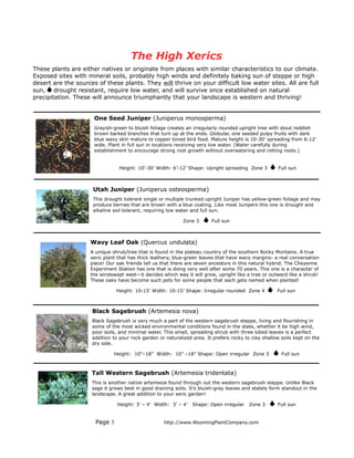 The High Xerics
These plants are either natives or originate from places with similar characteristics to our climate.
Exposed sites with mineral soils, probably high winds and definitely baking sun of steppe or high
desert are the sources of these plants. They will thrive on your difficult low water sites. All are full
sun, drought resistant, require low water, and will survive once established on natural
precipitation. These will announce triumphantly that your landscape is western and thriving!


                      One Seed Juniper (Juniperus monosperma)
                      Grayish-green to bluish foliage creates an irregularly rounded upright tree with stout reddish
                      brown barked branches that turn up at the ends. Globular, one seeded pulpy fruits with dark
                      blue waxy skin mature to copper toned bird food. Mature height is 10-30’ spreading from 6-12’
                      wide. Plant in full sun in locations receiving very low water. (Water carefully during
                      establishment to encourage strong root growth without overwatering and rotting roots.)


                                 Height: 10'-30’ Width: 6’-12’ Shape: Upright spreading Zone 3         Full sun



                     Utah Juniper (Juniperus osteosperma)
                     This drought tolerant single or multiple trunked upright Juniper has yellow-green foliage and may
                     produce berries that are brown with a blue coating. Like most Junipers this one is drought and
                     alkaline soil tolerant, requiring low water and full sun.

                                                             Zone 3      Full sun



                    Wavy Leaf Oak (Quercus undulata)
                    A unique shrub/tree that is found in the plateau country of the southern Rocky Montains. A true
                    xeric plant that has thick leathery, blue-green leaves that have wavy margins- a real conversation
                    piece! Our oak friends tell us that there are seven ancestors in this natural hybrid. The Cheyenne
                    Experiment Station has one that is doing very well after some 70 years. This one is a character of
                    the windswept west—it decides which way it will grow, upright like a tree or outward like a shrub!
                    These oaks have become such pets for some people that each gets named when planted!

                               Height: 10-15’ Width: 10-15’ Shape: Irregular rounded Zone 4           Full sun



                     Black Sagebrush (Artemesia nova)
                     Black Sagebrush is very much a part of the western sagebrush steppe, living and flourishing in
                     some of the most wicked environmental conditions found in the state, whether it be high wind,
                     poor soils, and minimal water. This small, spreading shrub with three lobed leaves is a perfect
                     addition to your rock garden or naturalized area. It prefers rocky to clay shallow soils kept on the
                     dry side.

                              Height: 10”–18” Width: 10” –18” Shape: Open irregular Zone 3              Full sun



                     Tall Western Sagebrush (Artemesia tridentata)
                     This is another native artemesia found through out the western sagebrush steppe. Unlike Black
                     sage it grows best in good draining soils. It’s bluish-gray leaves and stately form standout in the
                     landscape. A great addition to your xeric garden!

                                Height: 3’ – 4’ Width: 3’ – 4’   Shape: Open irregular    Zone 3      Full sun


                      Page 5                        http://www.WyomingPlantCompany.com
 