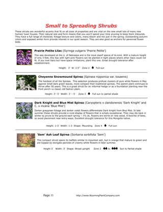 Small to Spreading Shrubs
These shrubs are wonderful accents that fit on all sizes of properties and are vital on the new small lots of many new
homes/ town houses. Their natural size and form means that you won’t spend your time pruning to keep them inbounds.
They have a full range of character, foliage texture and colors, many bloom and not just in the spring. Outstanding autumn
colors and exposed winter form provide interest in our quiet season. They are also good as anchors for perennial flower
beds.



                 Prairie Petite Lilac (Syringa vulgaris ‘Prairie Petite’)
                 This was developed at the U. of Nebraska and is the most dwarf specie of its kind. With a mature height
                 of only 3 feet, this lilac with light pink flowers can be planted in tight places where other lilacs could not
                 fit. If you love lilacs but have space limitations, plant this one. Great drought tolerance after
                 establishment.

                                        Height: 3’ W: 2.5”     Zone 2        Full sun



                     Cheyenne Snowmound Spirea (Spiraea nipponica var. tosaenis)
                     The hardiest of all the Spireas. This selection produces profuse clusters of pure white flowers in May
                     against small dark green leaves, more compact than traditional spireas. The parent plant continues to
                     thrive after 50 years. This is a great shrub for an informal hedge or as a foundation planting near the
                     front porch—a classic old fashion plant.

                           Height: 3’- 5’ Width: 3’ – 5’    Zone 3       Full sun to partial shade



                 Dark Knight and Blue Mist Spirea (Caryopteris x clandonensis ‘Dark Knight’ and
                 C. x incana ‘Blue Mist’)
                 Darker graygreen foliage and darker violet flowers differentiate Dark Knight from Blue Mist. In late
                 summer these shrubs provide a vivid display of flowers that is simply exceptional. They may die back in
                 winter so prune to the ground each spring -- it’s ok, flowers are borne on new wood. A favorite of bees,
                 so avoid placement near entry ways. Excellent drought tolerance for this Mongolia native.


                            Height: 1-3’ Width: 1-3 Shape: Mounding         Zone 4        Full sun



                    ‘Sem’ Ash Leaf Spirea (Sorbaria sorbifolia ‘Sem’)

                    This compact shrub opens its leaflets similar to mountain ash, but in orange that mature to green and
                    are topped by elongate panicles of creamy white flowers in later summer.

                          Height 3’   Width: 3' Shape: Broad upright       Zone 2        to          Sun to Partial shade




                          Page 53                          http://www.WyomingPlantCompany.com
 