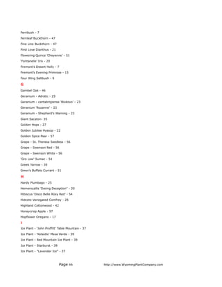 Fernbush - 7
Fernleaf Buckthorn - 47
Fine Line Buckthorn - 47
First Love Dianthus - 21
Flowering Quince ’Cheyenne’ - 51
‘Fontanelle’ Iris - 20
Fremont's Desert Holly - 7
Fremont’s Evening Primrose - 15
Four Wing Saltbush - 9

G
Gambel Oak - 46
Geranium - Adratic - 23
Geranium - cantabrigiense ‘Biokovo’ - 23
Geranium ‘Rozanne’ - 23
Geranium - Shepherd's Warning - 23
Giant Sacaton- 35
Golden Hops - 27
Golden Jubilee Hyssop - 22
Golden Spice Pear - 57
Grape - St. Theresa Seedless - 56
Grape - Swenson Red - 56
Grape - Swenson White - 56
'Gro Low’ Sumac - 54
Greek Yarrow - 39
Gwen’s Buffalo Currant - 51

H
Hardy Plumbago - 25
Hemerocallis ‘Daring Deception" - 20
Hibiscus ‘Disco Belle Rosy Red’ - 54
Hidcote Variegated Comfrey - 25
Highland Cottonwood - 42
Honeycrisp Apple - 57
Hopflower Oregano - 17
I
Ice Plant - ‘John Proffitt’ Table Mountain - 37
Ice Plant - ‘Kelaidis’ Mesa Verde - 39
Ice Plant - Red Mountain Ice Plant - 39
Ice Plant - Starburst - 39
Ice Plant - "Lavender Ice" - 37



                             Page 66              http://www.WyomingPlantCompany.com
 