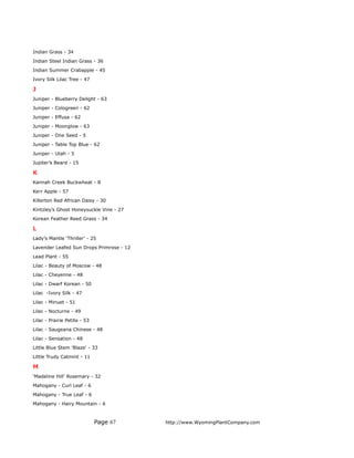 Indian Grass - 34
Indian Steel Indian Grass - 36
Indian Summer Crabapple - 45
Ivory Silk Lilac Tree - 47

J
Juniper - Blueberry Delight - 63
Juniper - Cologreen - 62
Juniper - Effusa - 62
Juniper - Moonglow - 63
Juniper - One Seed - 5
Juniper - Table Top Blue - 62
Juniper - Utah - 5
Jupiter’s Beard - 15

K
Kannah Creek Buckwheat - 8
Kerr Apple - 57
Killerton Red African Daisy - 30
Kintzley’s Ghost Honeysuckle Vine - 27
Korean Feather Reed Grass - 34

L
Lady’s Mantle ‘Thriller’ - 25
Lavender Leafed Sun Drops Primrose - 12
Lead Plant - 55
Lilac - Beauty of Moscow - 48
Lilac - Cheyenne - 48
Lilac - Dwarf Korean - 50
Lilac -Ivory Silk - 47
Lilac - Minuet - 51
Lilac - Nocturne - 49
Lilac - Prairie Petite - 53
Lilac - Saugeana Chinese - 48
Lilac - Sensation - 48
Little Blue Stem 'Blaze' - 33
Little Trudy Catmint - 11

M
‘Madeline Hill’ Rosemary - 32
Mahogany - Curl Leaf - 6
Mahogany - True Leaf - 6
Mahogany - Hairy Mountain - 6



                              Page 67     http://www.WyomingPlantCompany.com
 
