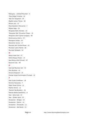 Mahogany - Littleleaf Mountain - 6
'Mars Midget' Knautia - 24
'Max Frei' Soapwort - 24
Mayfair Lemon Thyme - 38
Minuet Lilac - 51
Mock Bearberry Manzanita - 7
Mojave Sage - 29
Mongolian Bells Clematis - 14
'Mongolian Mist' Pincushion Flower - 19
Mongolian Silver Spires Caragana - 48
Montmorency Cherry - 57
Moonglow Juniper - 63
Moonshine Yarrow - 17
Mountain Ash Cardinal Royal - 43
Mountain Lady's Mantle - 26
Mountain Ninebark - 52

N
Native Hope Vine - 27
Native Pasque Flower - 14
New Mexico Olive (Privet) - 47
Nocturne Lilac - 48

O
Oak Leaf Mountain Ash - 43
Ohio Buckeye - 41
Oliviana Soapwort - 19
Orange Carpet Hummingbird Trumpet - 22

P
Pale Purple Coneflower - 18
Panchito Manzanita - 7
Paper Flower Zinnia - 12
Paprika Yarrow - 11
‘Pawnee’ Big Bluestem - 36
Pawnee Buttes Sandcherry - 8
Pear - Early Gold - 57
Pear - Golden Spice - 57
Penstemon - Bridges - 10
Penstemon - Palmer - 14
Penstemon - Pineneedle - 13
Penstemon - Red Rocks - 13



                             Page 68      http://www.WyomingPlantCompany.com
 