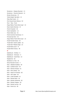 Penstemon - Shadow Mountain - 13
Penstemon - Silverton Bluemat - 14
Persian Stonecress - 37
'Petite Delight’ Bee Balm - 21
Pikes Peak Purple - 13
Pink Clouds Hardy Hibiscus - 54
Plum - Toka - Fruits
Poppy Mallow 'Prairie Wine Cups' - 15
Powis Castle Artemisia - 14
Prairie Dropseed - 36
Prairie Gayfeather - 15
Prairie Petite Lilac - 53
Prairie Sunshine Hymenoxys - 8
Princess Kay Plum - 45
Poppy Mallow 'Prairie Wine Cups' - 15
Purple Fountain Grass - 30
‘Purple Rain’ Jacob’s Ladder - 22
'Purple Rain' Meadow Sage - 23
Purple Robe Locust - 41
Purple Winter Savory - 38

R
Rabbitbrush - Tall Blue - 9
Rabbitbrush - Tall Green - 9
Rabbitbrush - Dwarf Blue - 10
Raspberries - 56
Red Birds in a Tree - 30
Rocky Mountain Sumac - 7
Rose - Adelaide Hoodless - 59
Rose - Cuthbert Grant - 59
Rose - Darlow's Enigma - 61
Rose - Henry Kelsey - 60
Rose - Hope for Humanity - 60
Rose - John Cabot - 60
Rose - Linda Campbell - 61
Rose - Morden Blush - 59
Rose - Morden Centennial - 60
Rose - Morden Fireglow - 59
Rose - Morden Sunrise - 59
Rose - Prairie Joy - 60



                              Page 69   http://www.WyomingPlantCompany.com
 