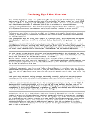 Gardening Tips & Best Practices

Weed control is the gardeners bane in a new garden or one gifted with a yearly supply of windblown seeds! Hand digging
does not need to be your only strategy. Glyphosate herbicide, at label dilution, spot applied to weeds with a small sponge
paintbrush is effective on most young weeds. Attached the paintbrush handle to a dowel and you’ve eliminated bending
over! This direct application means no possibility of herbicide drift to garden plants via our Wyoming breezes.
Applying pre-emergent herbicides is a choice for many people to prevent germination of those weed seeds. Apply in early
spring before germination begins and repeated per label directions throughout the season to be most effective.


The best gardens seem to have an element of serendipity and the happiest gardeners allow themselves to be pleasantly
surprised by chance pairings: a fuchsia blossom beside a plant with chartreuse foliage, volunteer groundcover helping a
new bed to get established.
Given our intense sun, wind, and alkaline soil it is easier to be successful at English Cottage, Mediterranean, and Western
Prairie Styles than it is with more formal French or Italianate Gardens. Gravel mulched rock gardens are also a good
choice.
Create garden windbreaks with shrubs, fences, durable perennials, and grasses so that your "Sunny Garden" perennials
can thrive through the intensity of summer. Many are tall grass prairie derived and are accustomed to natural shelter from
the brunt of wind and continual beating of summer sun. Just match plants by water need and sun level. That is the way to
long life and vigor in the garden. Plan the basics now and if need be tweak it next year. Perennials are forgiving!


Ugh slugs! The bane of shade gardeners. Don’t create damp slug havens by overwatering well mulched beds. Salt shaken
on a slug is only a temporary irritation to them but a long term detriment to your soil and plants. Metaldehyde based baits
are not suited to use around pets and desirable wildlife—don’t let them eat it.
“Natural” baits can kill but are they too much work to keep tending traps? Are you doing everything right but an
uneducable neighbor isn’t, so the pests slither in every night? Try a line of pure uncoated copper tape that they must cross
to enter your garden (or planter!). It must stay unburied to be effective by giving them a little natural electrical zap! If
only we could get the Robins to eat at night!


Plant Select® is a cooperative research program of the Denver Botanical Garden, the horticulture industry and Colorado
State University. The goal is to evaluate and introduce plants that are suited to the Rocky Mountain West. They are found
either in the wild or in regional experimental stations like at Cheyenne. We value this research and are proud to offer Plant
Select.


Great Plants® is the prairie plant selection program of the University of Nebraska at Lincoln that features natives and
adapted plants with great characteristics for Great Plains gardens. Some are also high plains appropriate - for here!


Landscaping is an upfront cost! But consider the value that landscaping can have on your property—upwards of 30%. A
few neighborhoods have mature landscapes, or are in the ‘big tree’ area in local real estate jargon and come with the
inherent enhanced value and ‘curb appeal’. Most of us don’t live there though but we can create ‘curb appeal’ and
enhanced value an order of magnitude above the initial expense in a few short years! Besides, landscaping has an added
benefit—the pleasure derived while watching the results of your efforts grow!


Deer damage is ugly and may be deadly. When rut comes in fall and through the winter bucks rub on thin barked trees to
show territorial claims. On multi-stemmed shrubs the result is usually only annoying but on a tree with one irreplaceable
trunk damage is permanent and weakens or kills the tree. You may cage trees or put flexible translucent covers like drain
pipe slit lengthwise over the trunk from the ground to the lower branches. Two important considerations are not to girdle
the tree by caging tightly and to use translucent covers if you choose to protect only the trunk. Thin barked trees
photosynthesize through the trunk whenever a warmer winter day comes along. Our efforts should not cancel this
beneficial action. (Also avoid light-blocking tree wrap sold to prevent deer damage and frost cracks. “Frost cracks” are
really the result of root damage .)




                          Page 72                        http://www.WyomingPlantCompany.com
 
