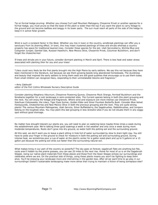 Tip on formal hedge pruning: Whether you choose Curl Leaf Mountain Mahogany, Cheyenne Privet or another species for a
formal hedge, you must prune so that the base of the plant is wider than the top if you want the plant to carry foliage to
the ground and not become leafless and twiggy in its lower parts. The sun must reach all parts of the side of the hedge to
keep it in active foliar growth.




Wind is such a constant factor in the West. Whether you live in town or the country, windbreak plantings can offer you a
sanctuary from its draining effect. In town, this may mean clustered plantings of trees and shrubs whereas a country
property has space for traditional layered rows. Consider these species for the job: Utah Serviceberry, Wichita Blue and
Cologreen Juniper, Gambel Oak, Russian Hawthorn, New Mexico Olive, Cheyenne Privet, Columnar Buckthorn, and don’t
forget the chokecherries!


If trees and shrubs are in your future, consider dormant planting in March and April. There is less heat and water stress
associated with planting then for you and your trees!


“Lilacs could very likely be the first plants brought into the High Plains by early settlers. We say this not because they have
been mentioned in the literature, but because we see them growing beside long abandoned homesteads. The sturdiness
and beauty that inspired the early settlers to bring them west are still good qualities that encourage us to use them today.
Even small children can recognize lilacs, responding to their unmistakable blooms and fragrance.”


—Amy Zabloudil
editor of the Fort Collins Wholesale Nursery Descriptive Guide


Consider planting Allegheny Viburnum, Cheyenne Flowering Quince, Cheyenne Mock Orange, Fernleaf Buckthorn and the
Ninebarks together for a lush landscape in semi-protected sites. The Currant species belong in both this plant grouping and
the next. You will enjoy the foliage and fragrances. Where wind and exposure are more intense use Cheyenne Privet,
Szechuan Cotoneaster, the Lilacs, Tiger Eyes Sumac, Golden Elder and Silver Fountain Butterfly Bush. Consider Blue Velvet
Honeysuckle, Chokecherries and New Mexico Olive in both the previous grouping and the next. They are quite strong
plants! The various Mountain Mahoganies, Utah Service, Silver Buffaloberry, the Sagebrushes, Rabbitbrushes, and Junipers
belong on the toughest sites. You may plant this last grouping in less stressful sites if you do not situate them in any soggy
spot without good drainage.




No matter how drought tolerant our plants are, you will need to plan on watering twice maybe three times a week during
the establishment year. We’re talking three good soakings a week in hot weather and only once a week during more
moderate temperatures. Roots don’t grow into dry ground, so water both the potting soil and the surrounding ground.
All this said, we don’t want you to leave a plant sitting in hole full of water surrounded by slow to drain tight clay. You still
have to poke your finger in the ground to check for moisture in both the potting soil and surrounding ground. During
intense heat, we sometimes pour a cup of water at the plant’s center for a gallon sized plant and up to 5 gallons on a 15
gallon pot because the potting soil dries out faster than the surrounding natural soil.


What makes living in our part of the country so powerful? The sky goes on forever, sagebrush flats are anything but flat,
rocks aren’t hidden by the prairie grasses, you can see 20 miles to the next rise. Home for most of us is on the Sagebrush
Steppe. Using our native plant materials from these places and those from the Asian Steppe echoes our surroundings and
celebrates where we are. On the practical side of things, using these plants means you won’t be fighting to keep them
alive. You’ll be enjoying your landscape more and intervening in the garden less. After all we want time to go play in our
surroundings! Doesn’t sustainable landscaping make more sense than trying to maintain a fiction of being someplace else?




                           Page 73                          http://www.WyomingPlantCompany.com
 