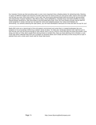 Our Audubon friends say that providing water is even more important than a feeding station for attracting birds. Planting
in layers of different heights and textures provides safe haven for birds as they dry and groom after visits to the bird bath
and will get you even more avian action in your yard. We recommend planting these trees and shrubs for giving shelter
and natural food: Russian Hawthorn, New Mexico Olive, Silver Buffaloberry, Crandall Clove and Gwen’s Buffalo Currants,
Pawnee Buttes Sandcherry, Utah Serviceberry and Winnipeg Parks Rose. Even the Cone flowers provide natural seed for
small songbirds in winter, and last but not least the native and adapted grasses! Our native bird habitats are
diminishing...by carefully selecting the right plants, you will have developed a sanctuary for birds and dare we say for you!


Really BIG rocks are a natural part of the arid western environment and using them in created landscapes ties your
property to its surroundings reinforcing a western sense of place. To make your landscape element look right be sure to
sink the big rock into the ground enough to look natural. Bury it up to a third or more and add mid sized and smaller rocks
along one side as if they were caught there during erosion or stream flow. Now you have planting micro-climates: a cool
north side where reflected heat won’t be a problem so sensitive plants won’t break dormancy at the wrong time of year if
planted there and a nicely warm south side for those heat lovers.




                          Page 74                        http://www.WyomingPlantCompany.com
 