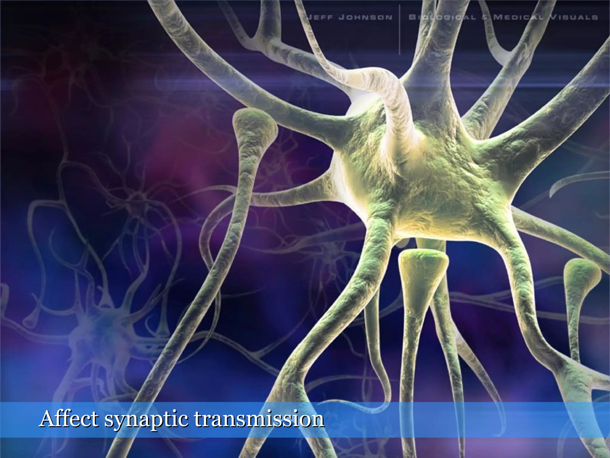 Affect synaptic transmissionAffect synaptic transmission
 