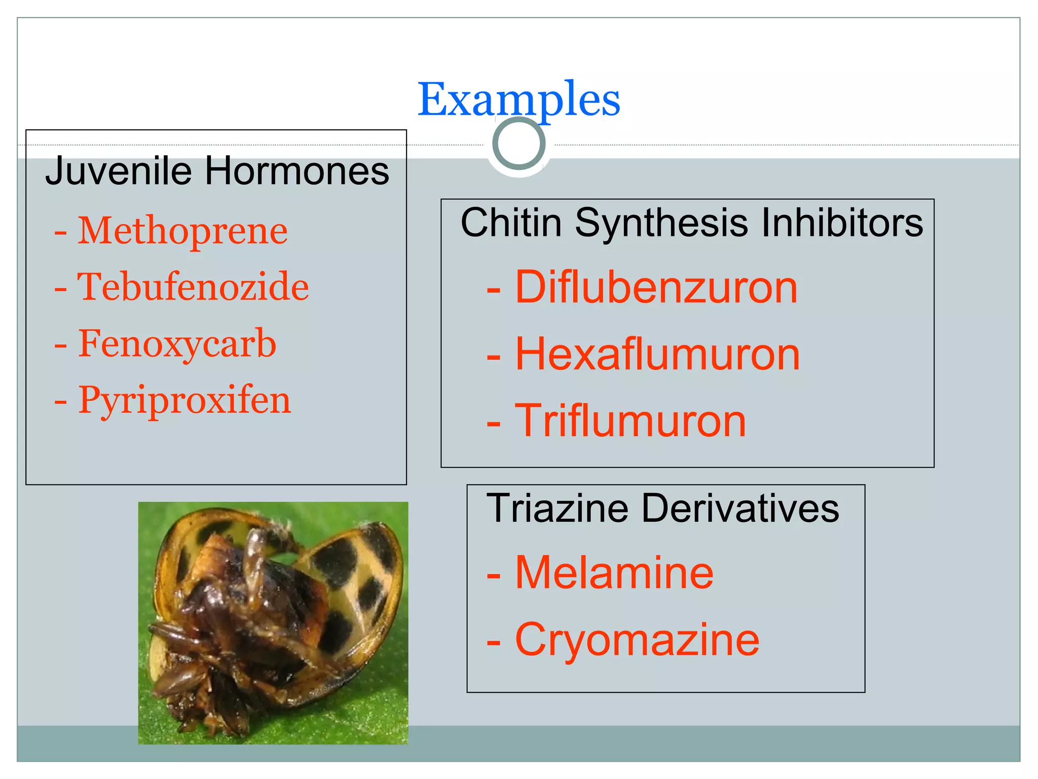 Examples
- Methoprene
- Tebufenozide
- Fenoxycarb
- Pyriproxifen
Juvenile Hormones
Chitin Synthesis Inhibitors
- Diflubenzuron
- Hexaflumuron
- Triflumuron
Triazine Derivatives
- Melamine
- Cryomazine
 