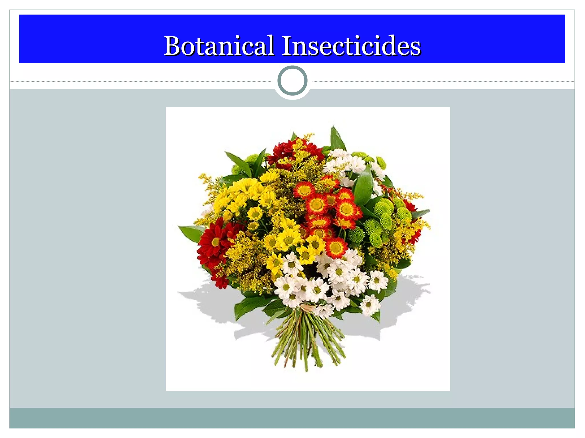 Botanical InsecticidesBotanical Insecticides
 