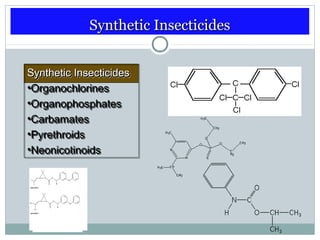 Synthetic InsecticidesSynthetic Insecticides
Synthetic InsecticidesSynthetic Insecticides
•Organochlorines
•Organophosphates
•Carbamates
•Pyrethroids
•Neonicotinoids
Synthetic InsecticidesSynthetic Insecticides
•Organochlorines
•Organophosphates
•Carbamates
•Pyrethroids
•Neonicotinoids
 