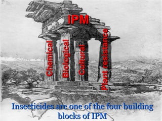 Insecticides are one of the four buildingInsecticides are one of the four building
blocks of IPMblocks of IPM
ChemicalChemical
BiologicalBiological
CulturalCultural
PlantresistancePlantresistance
IPMIPM
 