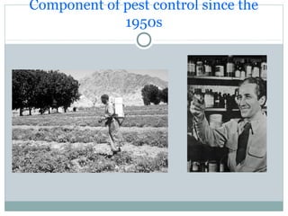 Component of pest control since the
1950s
 