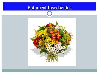 Botanical InsecticidesBotanical Insecticides
 