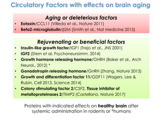 Circulatory Factors with effects on brain aging
Aging or deleterious factors
• Eotaxin/CCL11 (Villeda et al., Nature 2011)
• Beta2-microglobulin/b2M (Smith et al., Nat Medicine 2015)
Rejuvenating or beneficial factors
• Insulin-like growth factor/IGF1 (Trejo et al., JNS 2001)
• IGF2 (Stern et al. Psychoneuroimm. 2014)
• Growth hormone releasing hormone/GHRH (Baker et al., Arch
Neurol., 2012) *
• Gonadotropin releasing hormone/GnRH (Zhang, Nature 2013)
• Growth and differentiation factor 11/GDF11 (Wagers, Lee &
Rubin, Cell 2013, Science 2014)
• Colony stimulating factor 2/CSF2, Tissue inhibitor of
metalloproteinases 2/TIMP2 (Castellano, Nature 2017)
Proteins with indicated effects on healthy brain after
systemic administration in rodents or *humans