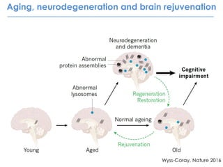 Aging, neurodegeneration and brain rejuvenation
Wyss-Coray, Nature 2016