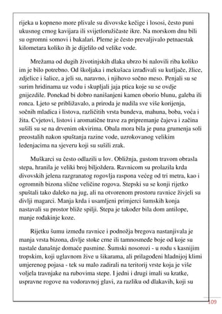 109
rijeka u kopneno more plivale su divovske kečige i lososi, često puni
ukusnog crnog kavijara ili svijetloružičaste ikre. Na morskom dnu bili
su ogromni somovi i bakalari. Pleme je često prevaljivalo petnaestak
kilometara koliko ih je dijelilo od velike vode.
Mrežama od dugih životinjskih dlaka ubrzo bi nalovili riba koliko
im je bilo potrebno. Od školjaka i mekušaca izrađivali su kutljače, žlice,
zdjelice i šalice, a jeli su, naravno, i njihovo sočno meso. Penjali su se
surim hridinama uz vodu i skupljali jaja ptica koje su se ovdje
gnijezdile. Ponekad bi dobro nanišanjeni kamen oborio blunu, galeba ili
ronca. Ljeto se približavalo, a priroda je nudila sve više korijenja,
sočnih mladica i listova, različitih vrsta bundeva, mahuna, boba, voća i
žita. Cvjetovi, listovi i aromatične trave za pripremanje čajeva i začina
sušili su se na drvenim okvirima. Obala mora bila je puna grumenja soli
preostalih nakon spuštanja razine vode, uzrokovanog velikim
ledenjacima na sjeveru koji su sušili zrak.
Muškarci su često odlazili u lov. Obližnja, gustom travom obrasla
stepa, hranila je veliki broj biljoždera. Ravnicom su prolazila krda
divovskih jelena razgranatog rogovlja raspona većeg od tri metra, kao i
ogromnih bizona slične veličine rogova. Stepski su se konji rijetko
spuštali tako daleko na jug, ali na otvorenom prostoru ravnice živjeli su
divlji magarci. Manja krda i usamljeni primjerci šumskih konja
nastavali su prostor bliže spilji. Stepa je također bila dom antilope,
manje rođakinje koze.
Rijetku šumu između ravnice i podnožja bregova nastanjivala je
manja vrsta bizona, divlje stoke crne ili tamnosmeđe boje od koje su
nastale današnje domaće pasmine. Šumski nosorozi - u rodu s kasnijim
tropskim, koji uglavnom žive u šikarama, ali prilagođeni hladnijoj klimi
umjerenog pojasa - tek su malo zadirali na teritorij vrste koja je više
voljela travnjake na rubovima stepe. I jedni i drugi imali su kratke,
uspravne rogove na vodoravnoj glavi, za razliku od dlakavih, koji su
 