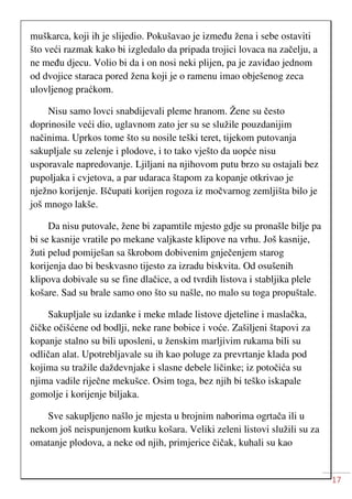 17
muškarca, koji ih je slijedio. Pokušavao je između žena i sebe ostaviti
što veći razmak kako bi izgledalo da pripada trojici lovaca na začelju, a
ne među djecu. Volio bi da i on nosi neki plijen, pa je zaviđao jednom
od dvojice staraca pored žena koji je o ramenu imao obješenog zeca
ulovljenog praćkom.
Nisu samo lovci snabdijevali pleme hranom. Žene su često
doprinosile veći dio, uglavnom zato jer su se služile pouzdanijim
načinima. Uprkos tome što su nosile teški teret, tijekom putovanja
sakupljale su zelenje i plodove, i to tako vješto da uopće nisu
usporavale napredovanje. Ljiljani na njihovom putu brzo su ostajali bez
pupoljaka i cvjetova, a par udaraca štapom za kopanje otkrivao je
nježno korijenje. Iščupati korijen rogoza iz močvarnog zemljišta bilo je
još mnogo lakše.
Da nisu putovale, žene bi zapamtile mjesto gdje su pronašle bilje pa
bi se kasnije vratile po mekane valjkaste klipove na vrhu. Još kasnije,
žuti pelud pomiješan sa škrobom dobivenim gnječenjem starog
korijenja dao bi beskvasno tijesto za izradu biskvita. Od osušenih
klipova dobivale su se fine dlačice, a od tvrdih listova i stabljika plele
košare. Sad su brale samo ono što su našle, no malo su toga propuštale.
Sakupljale su izdanke i meke mlade listove djeteline i maslačka,
čičke očišćene od bodlji, neke rane bobice i voće. Zašiljeni štapovi za
kopanje stalno su bili uposleni, u ženskim marljivim rukama bili su
odličan alat. Upotrebljavale su ih kao poluge za prevrtanje klada pod
kojima su tražile daždevnjake i slasne debele ličinke; iz potočića su
njima vadile riječne mekušce. Osim toga, bez njih bi teško iskapale
gomolje i korijenje biljaka.
Sve sakupljeno našlo je mjesta u brojnim naborima ogrtača ili u
nekom još neispunjenom kutku košara. Veliki zeleni listovi služili su za
omatanje plodova, a neke od njih, primjerice čičak, kuhali su kao
 