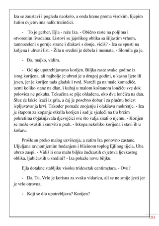 193
Iza se zaustavi i pogleda naokolo, a onda krene prema visokim, lijepim
žutim cvjetovima nalik tratinčici.
- To je gerber, Ejla - reče Iza. - Obično raste na poljima i
otvorenim livadama. Listovi su jajolikog oblika sa šiljastim vrhom,
tamnozeleni s gornje strane i dlakavi s donje, vidiš? - Iza se spusti na
koljena i uhvati list. - Žila u sredini je debela i mesnata. - Slomila ga je.
- Da, majko, vidim.
- Od nje upotrebljavamo korijen. Biljka raste svake godine iz
istog korijena, ali najbolje je ubrati je u drugoj godini, u kasno ljeto ili
jesen, jer je korijen tada gladak i tvrd. Nareži ga na male komadiće,
uzmi koliko stane na dlan, i kuhaj u malom koštanom lončiću sve dok
polovica ne pokuha. Tekućina se pije ohlađena, oko dva lončića na dan.
Sluz će lakše izaći iz grla, a čaj je posebno dobar i za plućnu bolest
ispljuvavanja krvi. Također pomaže znojenju i olakšava mokrenje. - Iza
je štapom za kopanje otkrila korijen i sad je sjedeći na tlu brzim
pokretima objašnjavala djevojčici sve što valja znati o njemu. - Korijen
se može osušiti i smrviti u prah. - Iskopa nekoliko korijena i stavi ih u
košaru.
Prošle su preko malog uzvišenja, a zatim Iza ponovno zastane.
Uljuljana ravnomjernim hodanjem i blizinom toplog Ejlinog tijela, Uba
ubrzo zaspi. - Vidiš li onu malu biljku žućkastih cvjetova ljevkastog
oblika, ljubičastih u sredini? - Iza pokaže novu biljku.
Ejla dotakne stabljiku visoku tridesetak centimetara. - Ovu?
- Da. Tu. Vrlo je korisna za svaku vidaricu, ali se ne smije jesti jer
je vrlo otrovna.
- Koji se dio upotrebljava? Korijen?
 